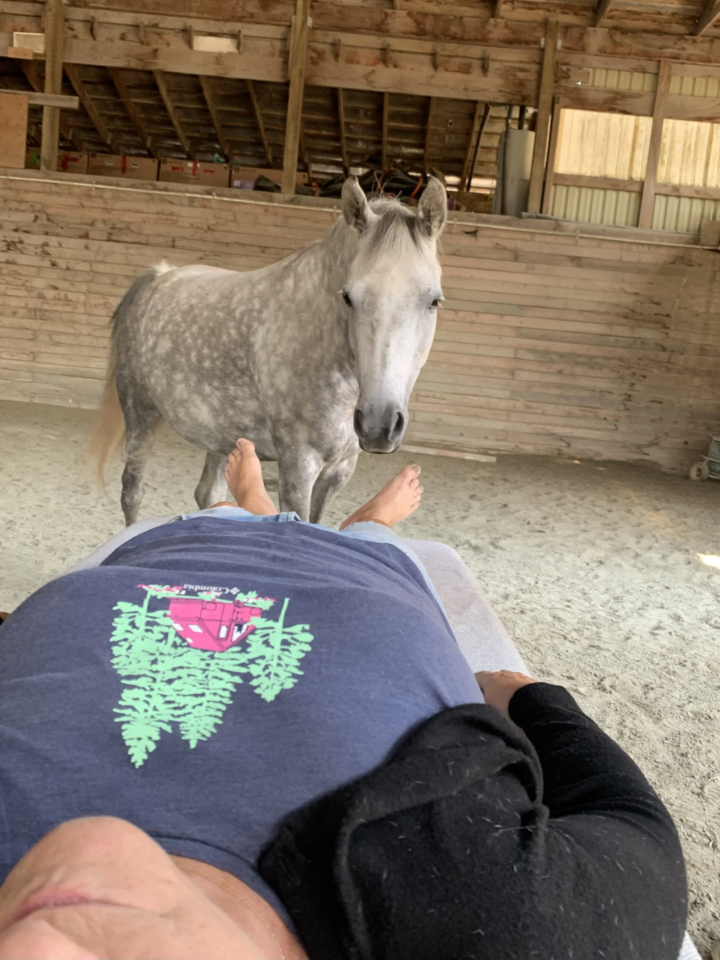 Person lying down inside a barn or stable, looking at a gray horse standing nearby.