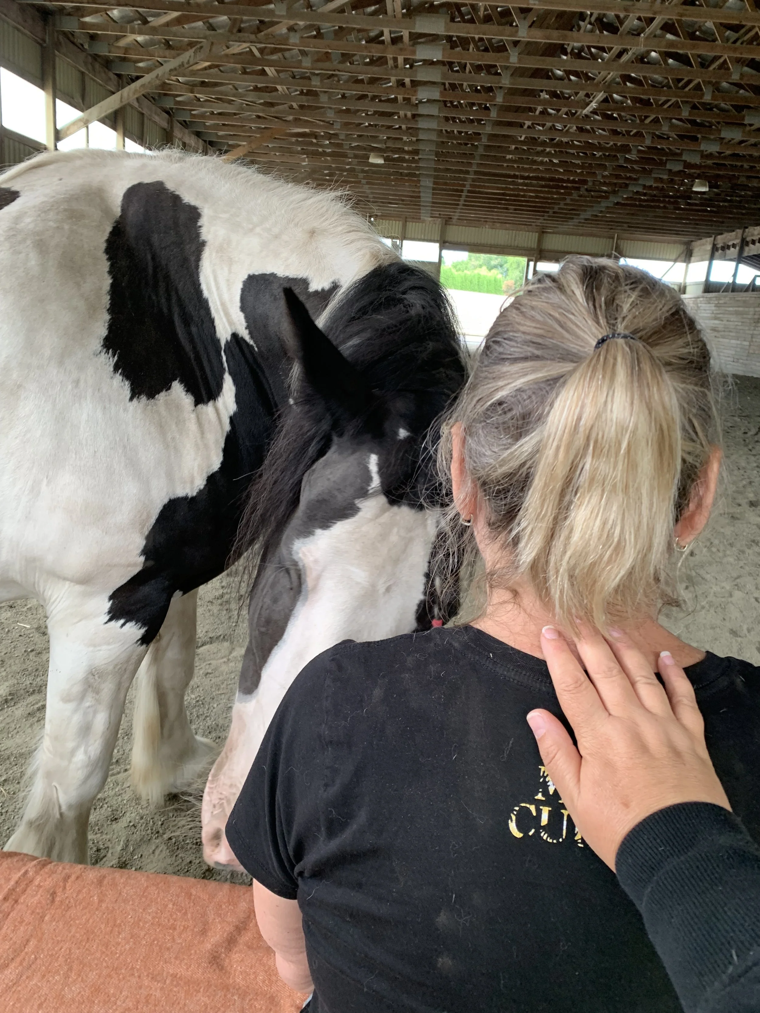 A person with blonde hair in a ponytail and wearing a black shirt is petting a black and white horse in a barn or stable.