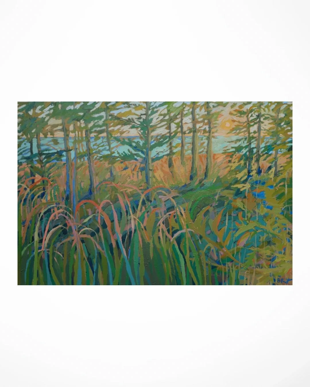 Feeling nostalgic as I look back on past work. I always paint from places I&rsquo;ve been, most of them I continue to visit. They hold my best memories. 

I have been updating my website (still a wip!), and that&rsquo;s what prompted this trip down m