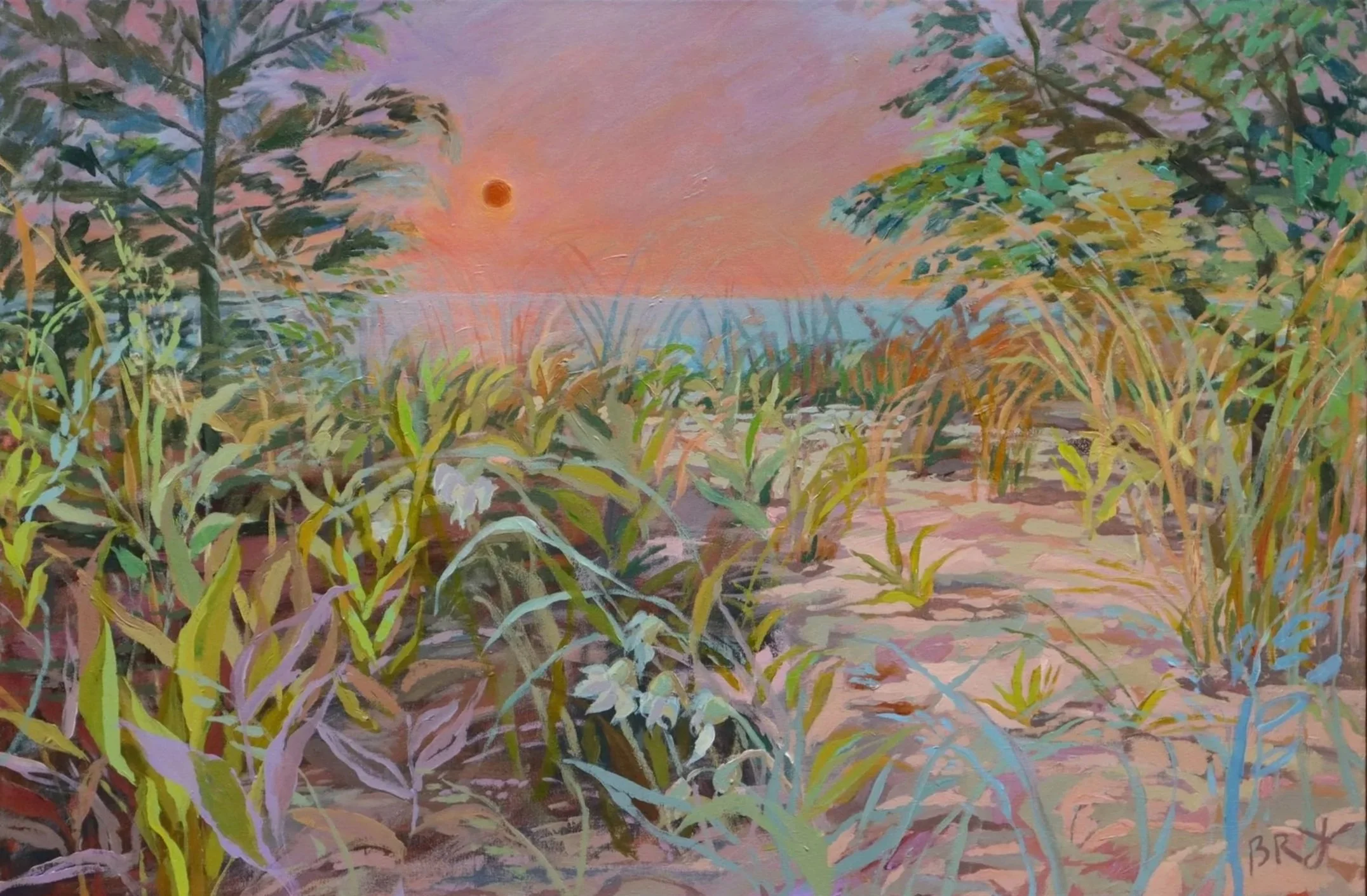 ATentfortheSun_whitewall.jpg