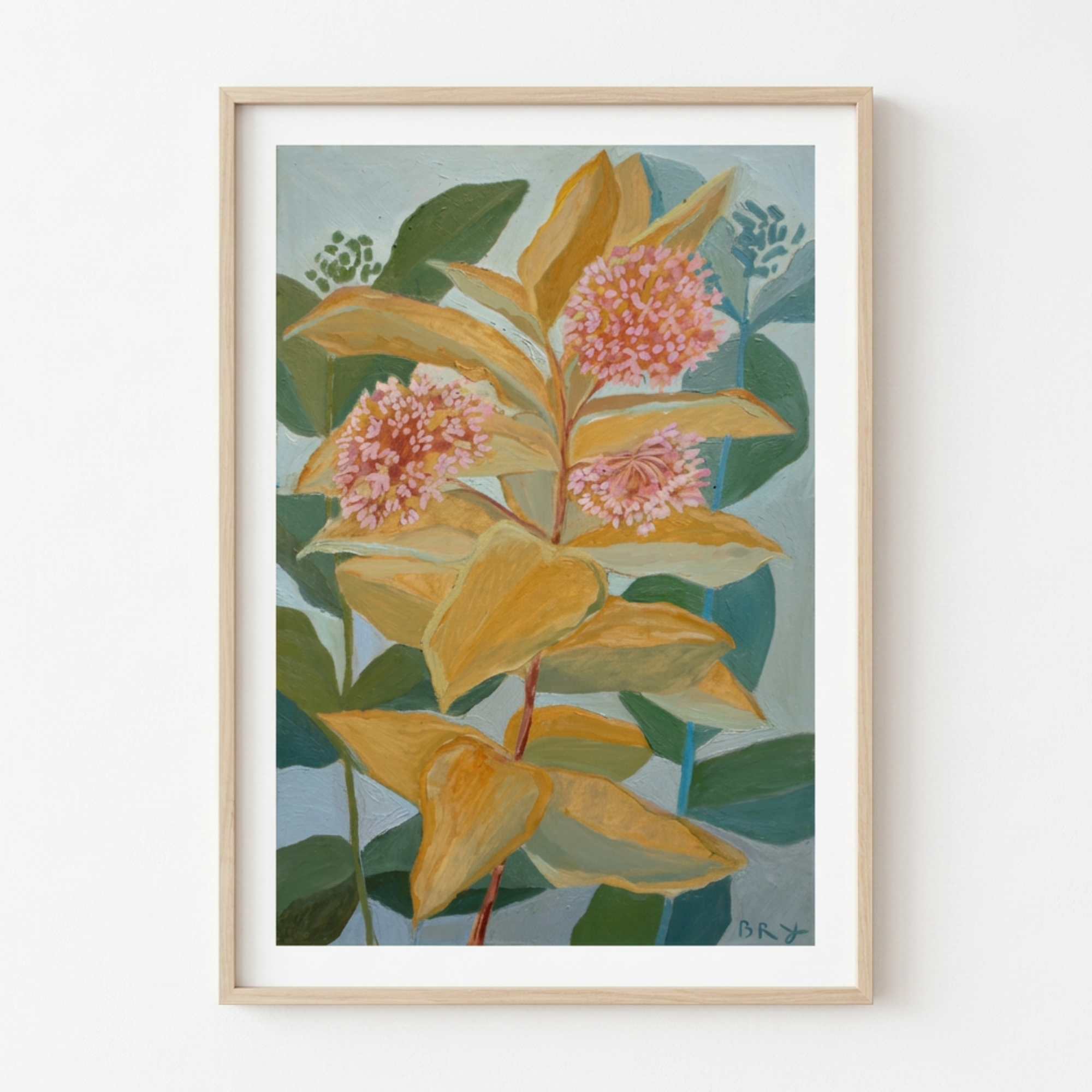 Milkweed Blooms - Print