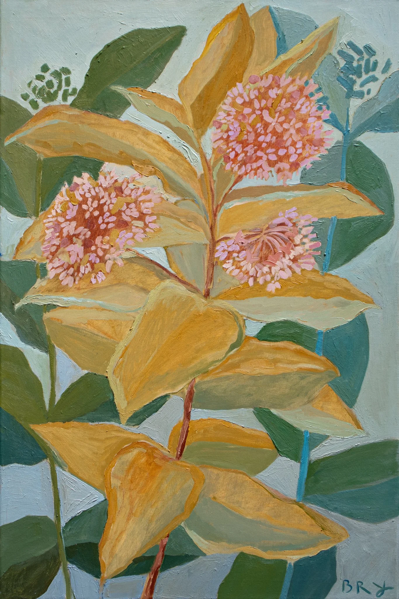 Milkweed Blooms_ Manning.jpg
