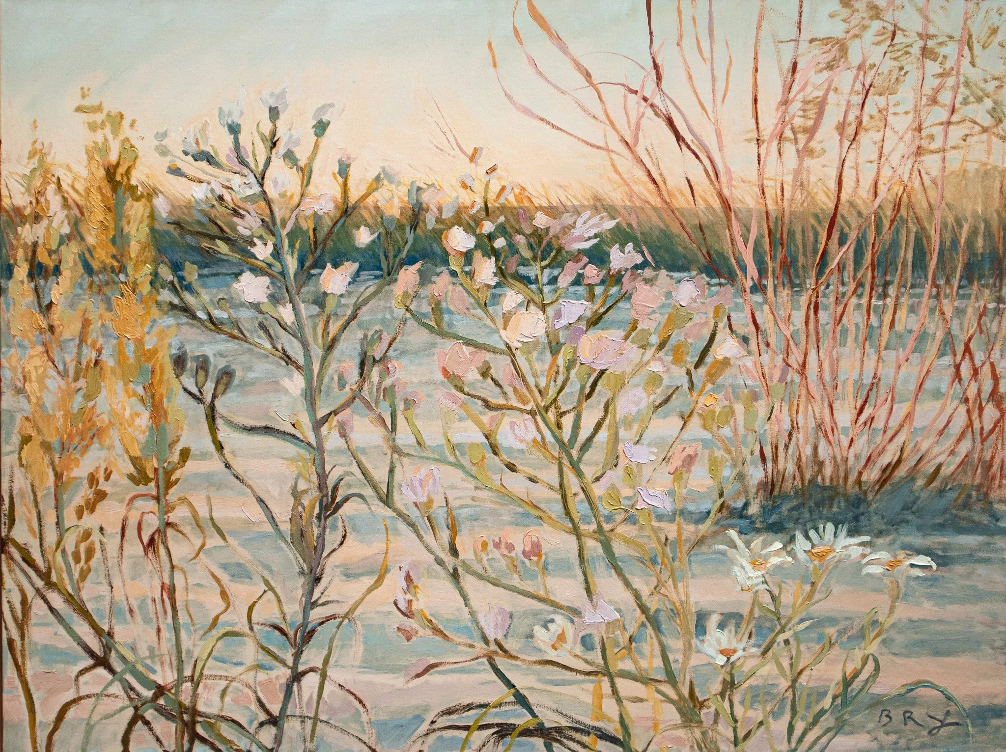 Dune Blooms_Manning.jpg