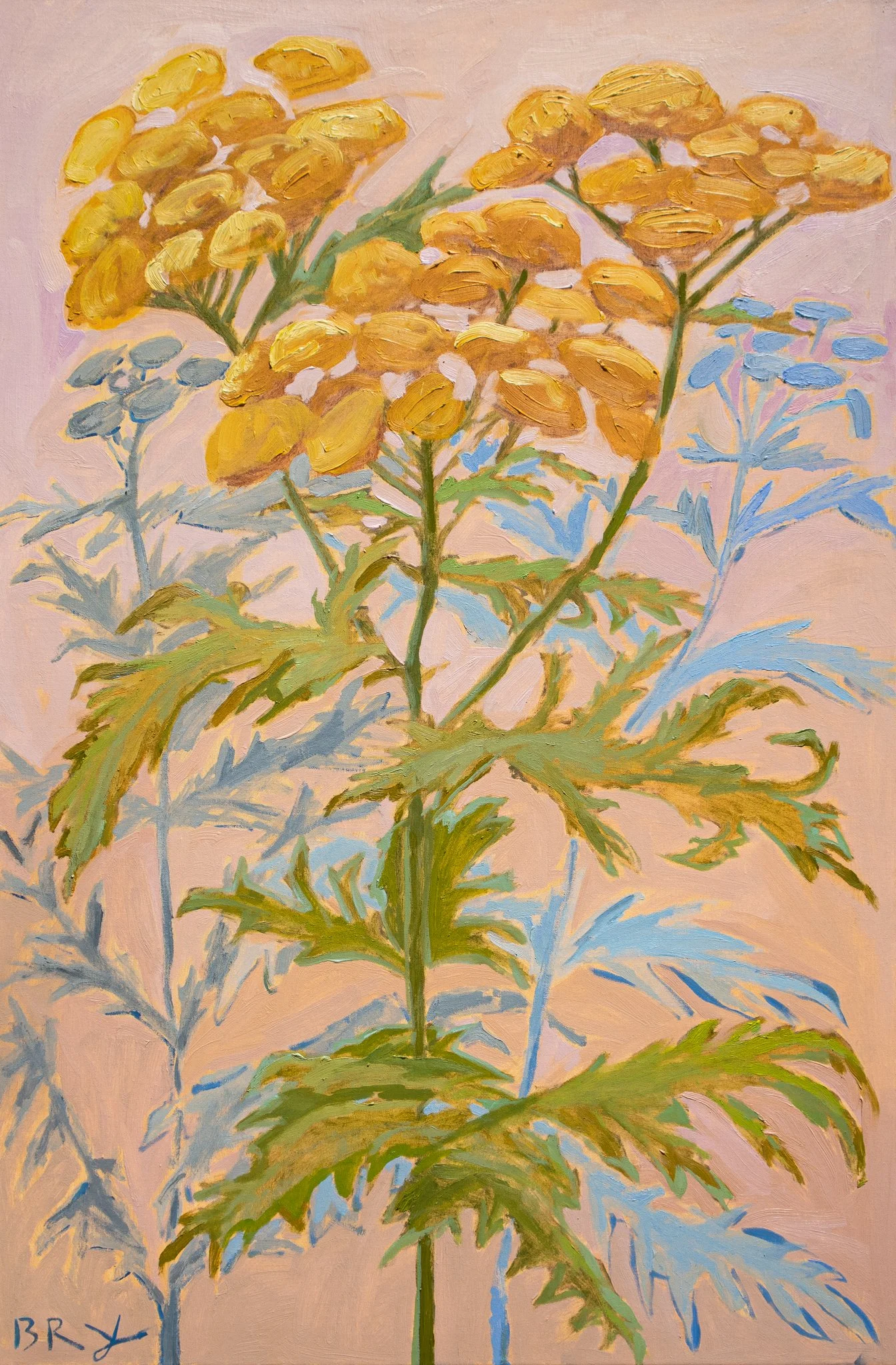 Lake Huron Tansy_ Manning.jpg
