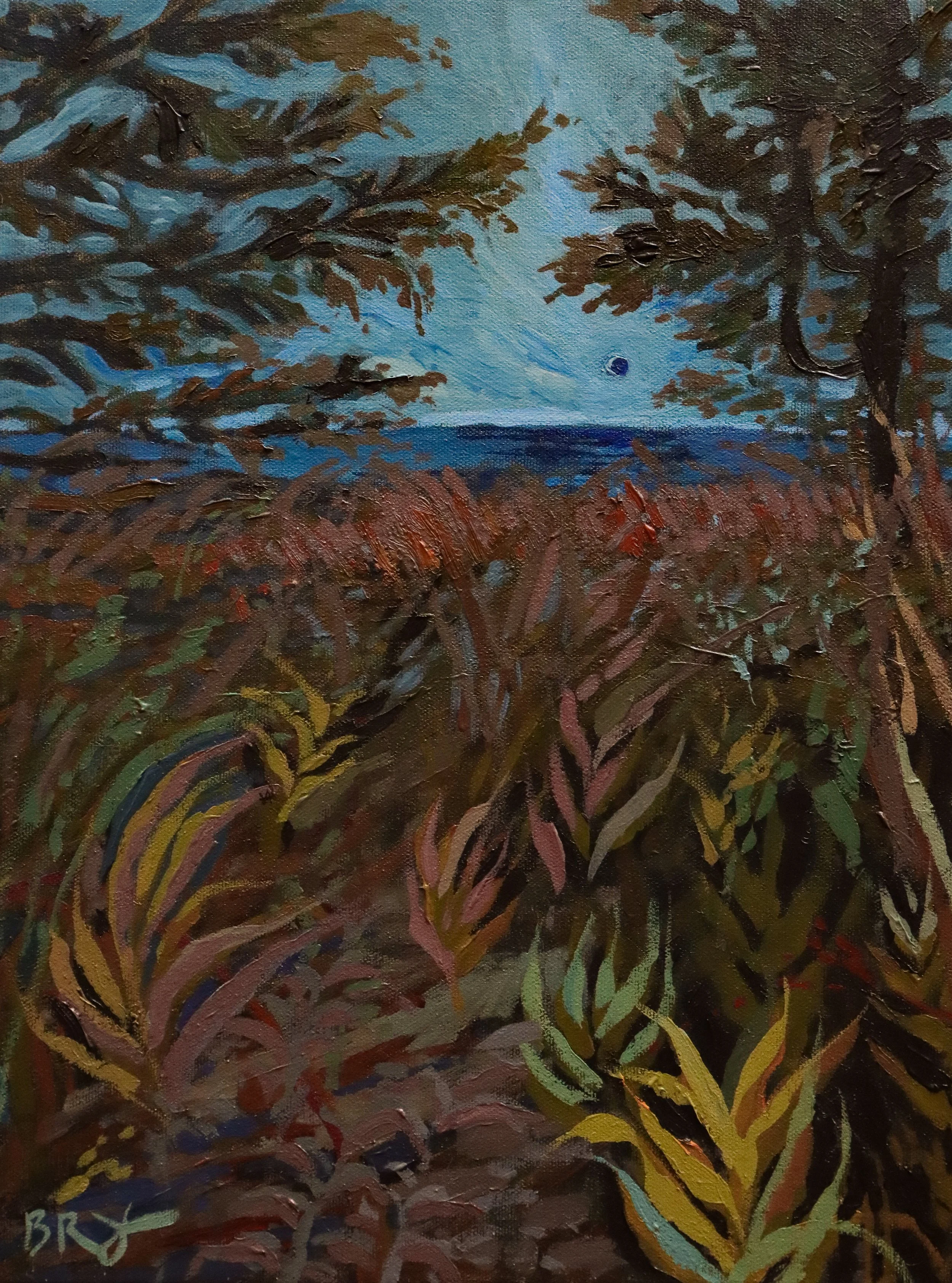 Blue Night_Manning.jpg