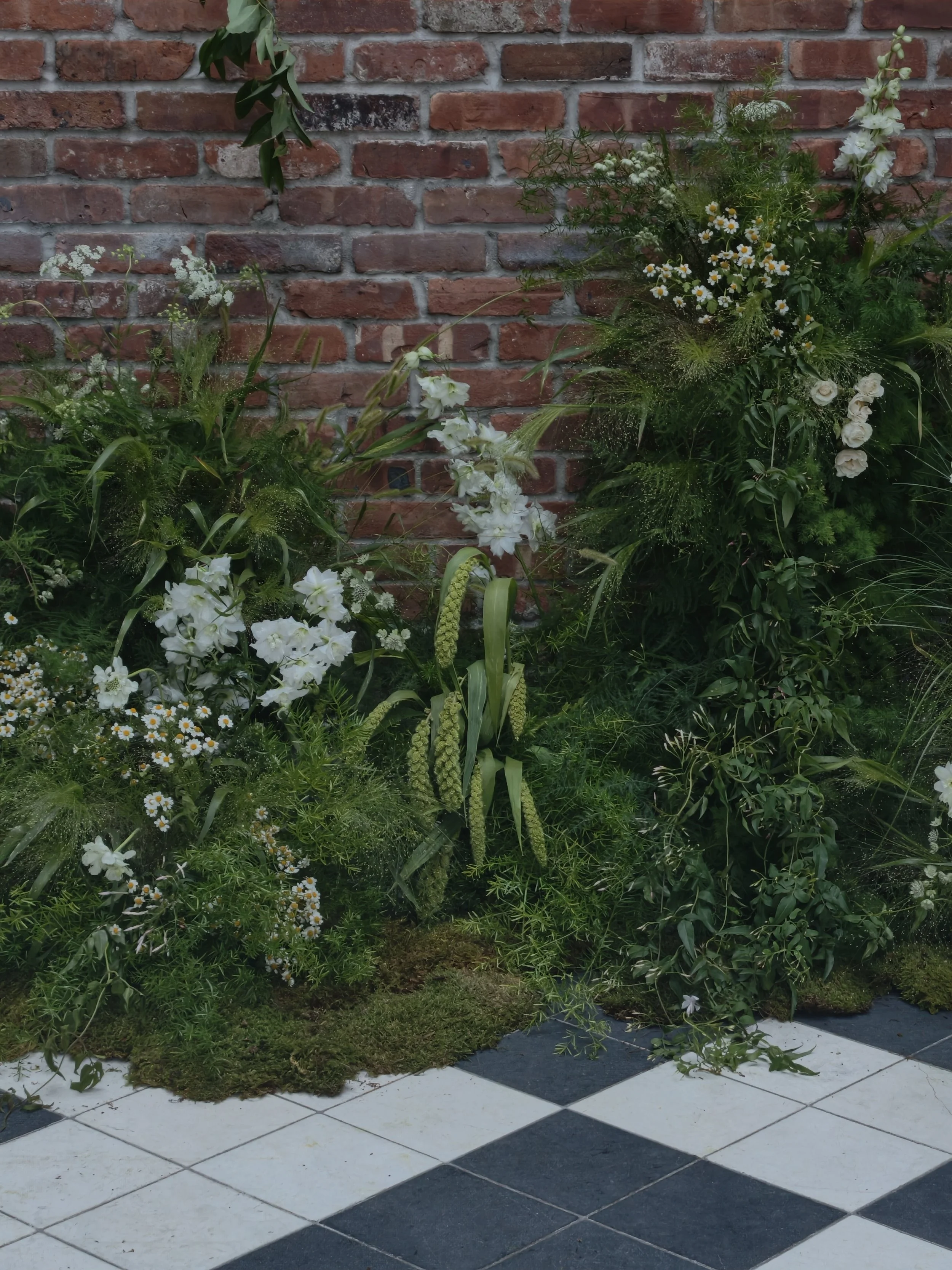 IMG_20260815_133605.jpeg