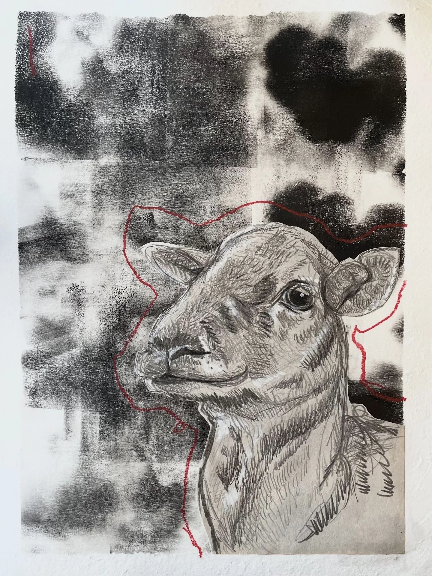 pencil & ink, 2025