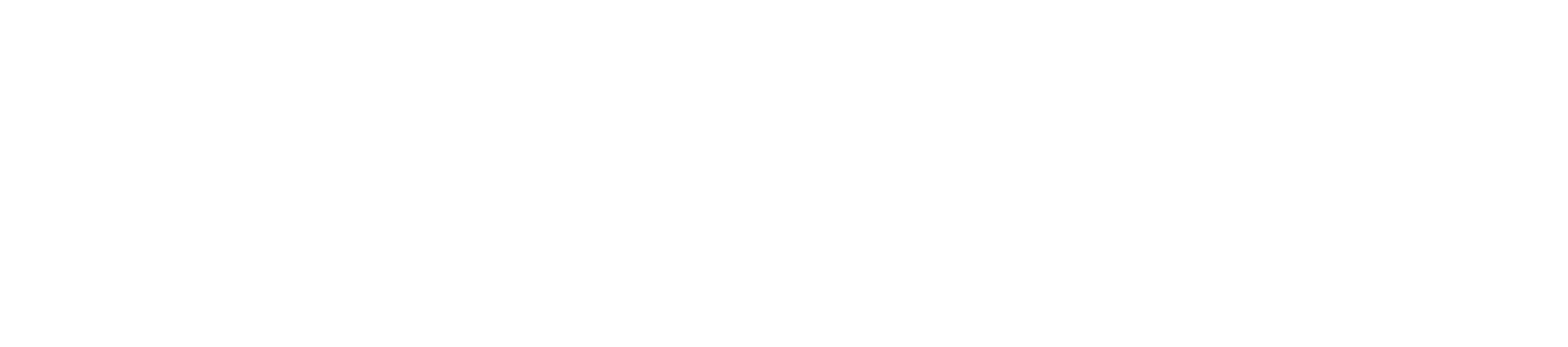 IconSuit_logo_white.png