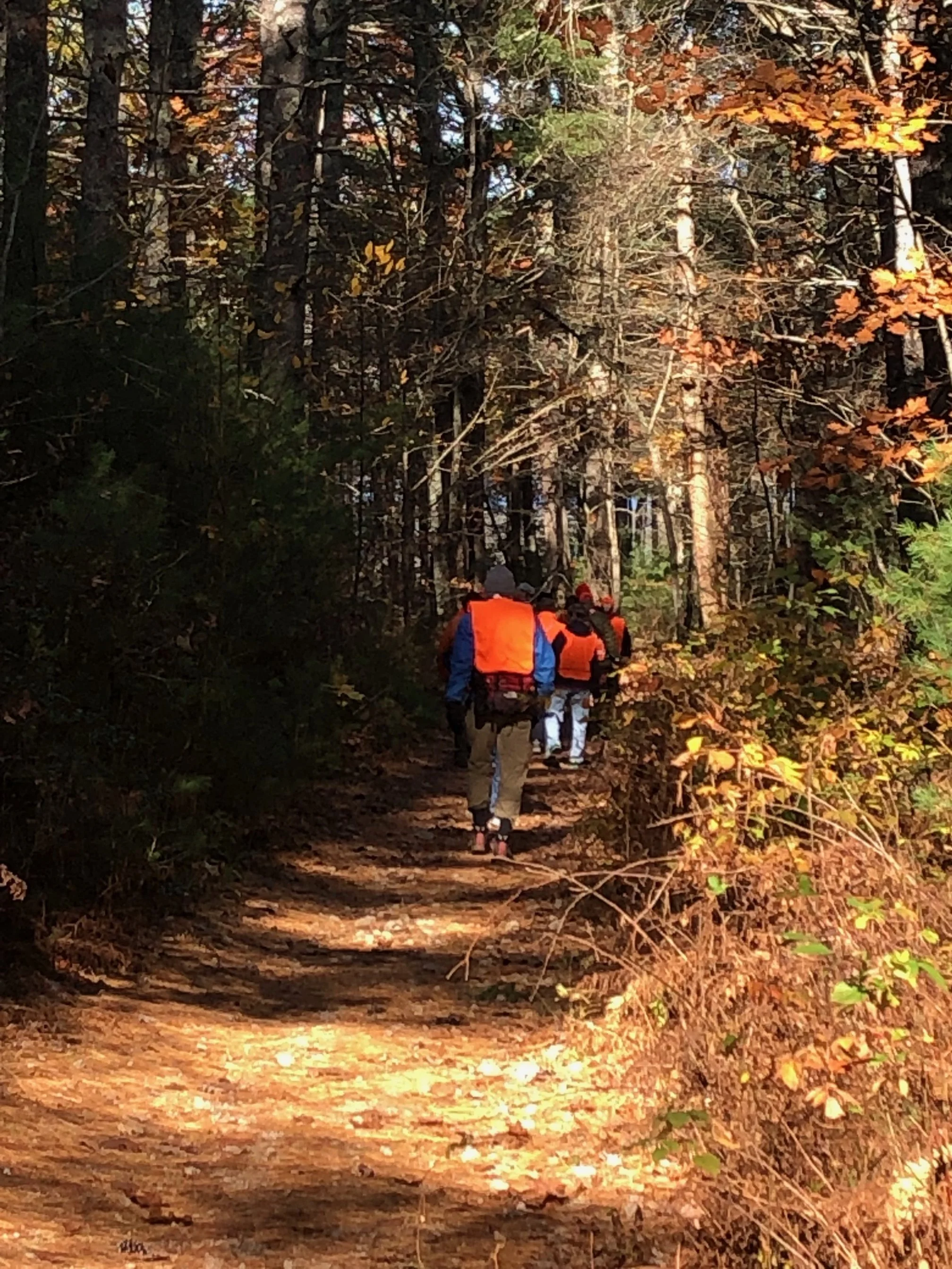 11012025 YT Breakhart Arcadia 2.jpg