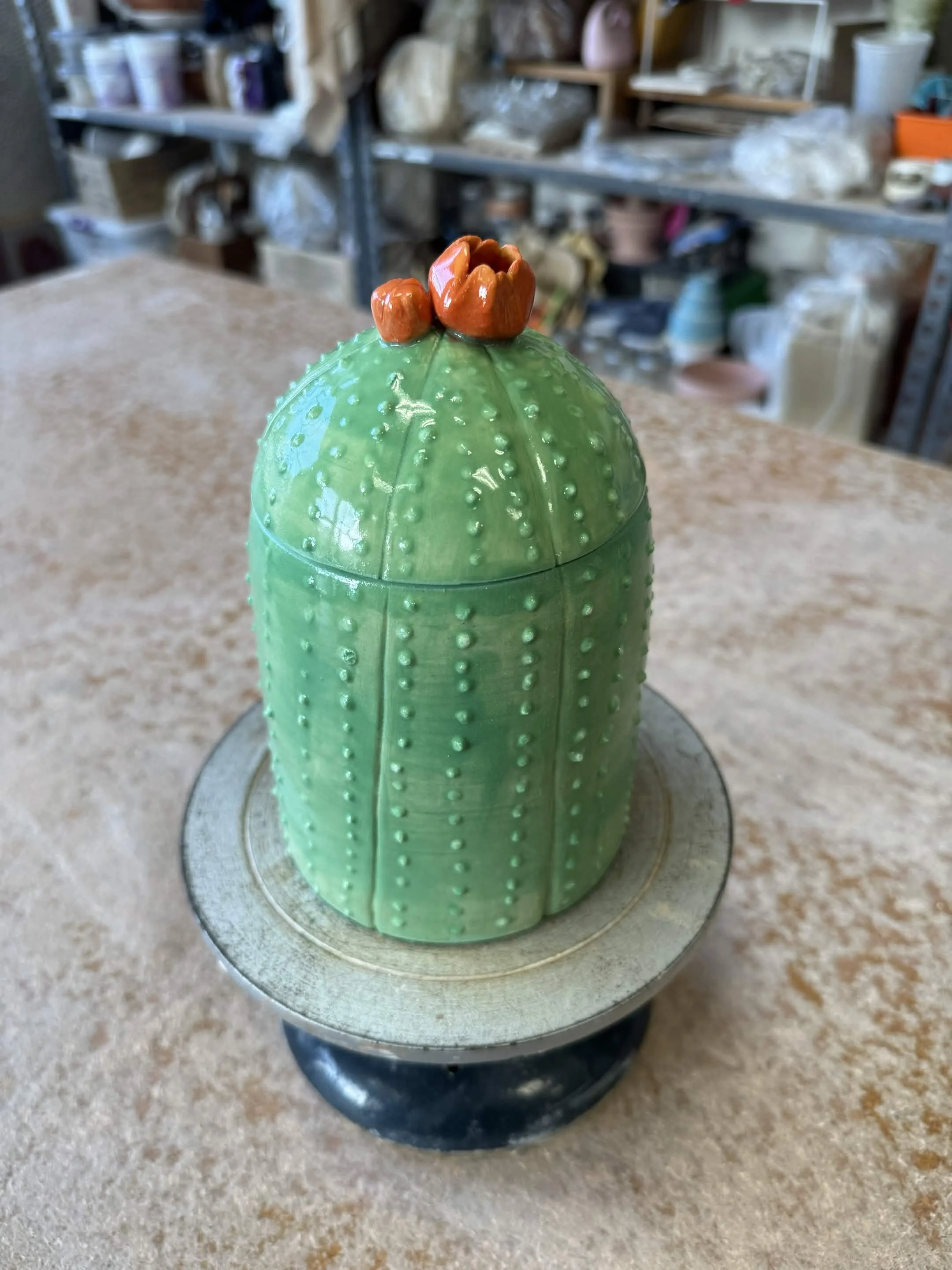 claire cactus.jpg