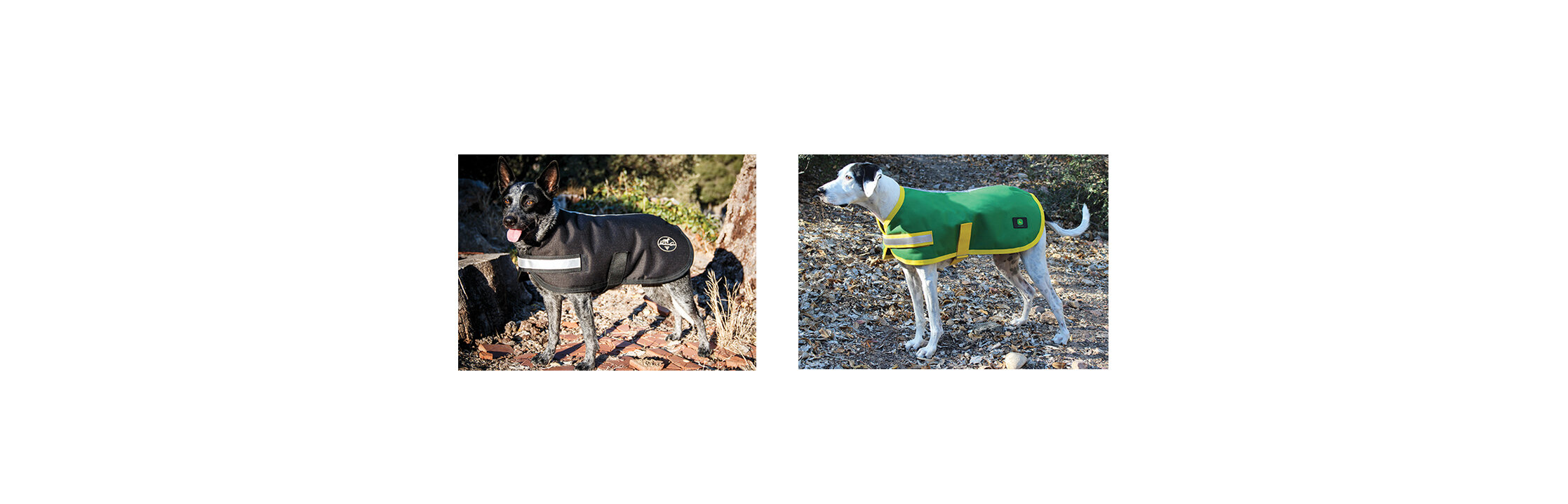 DOG COATS