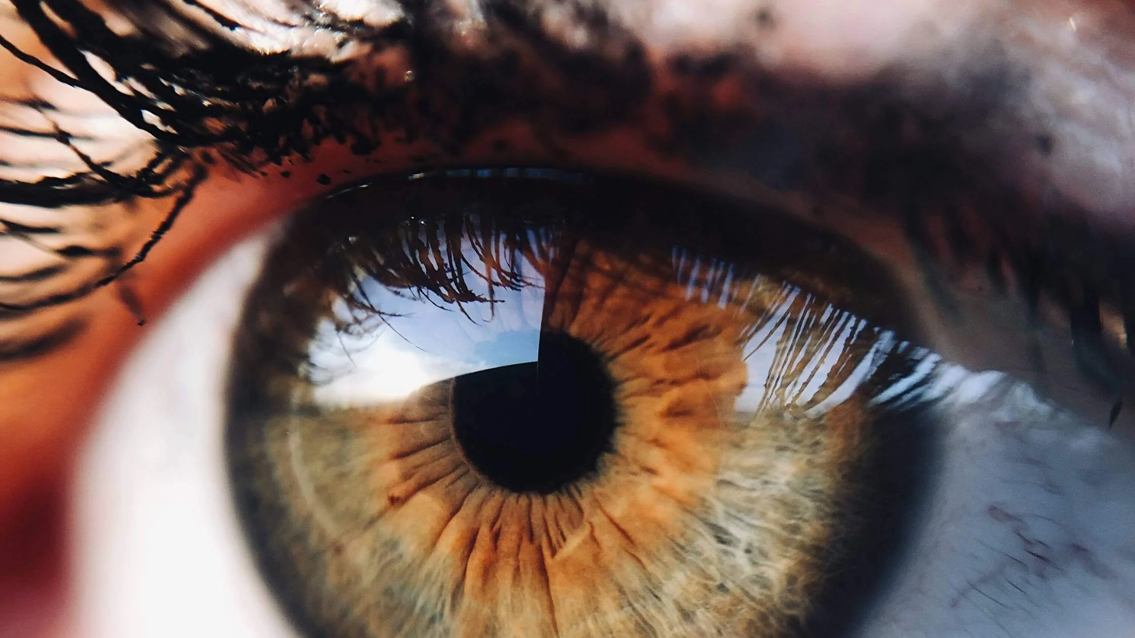 La lecture Human Design : comprendre ton fonctionnement pour embrasser ta singularité