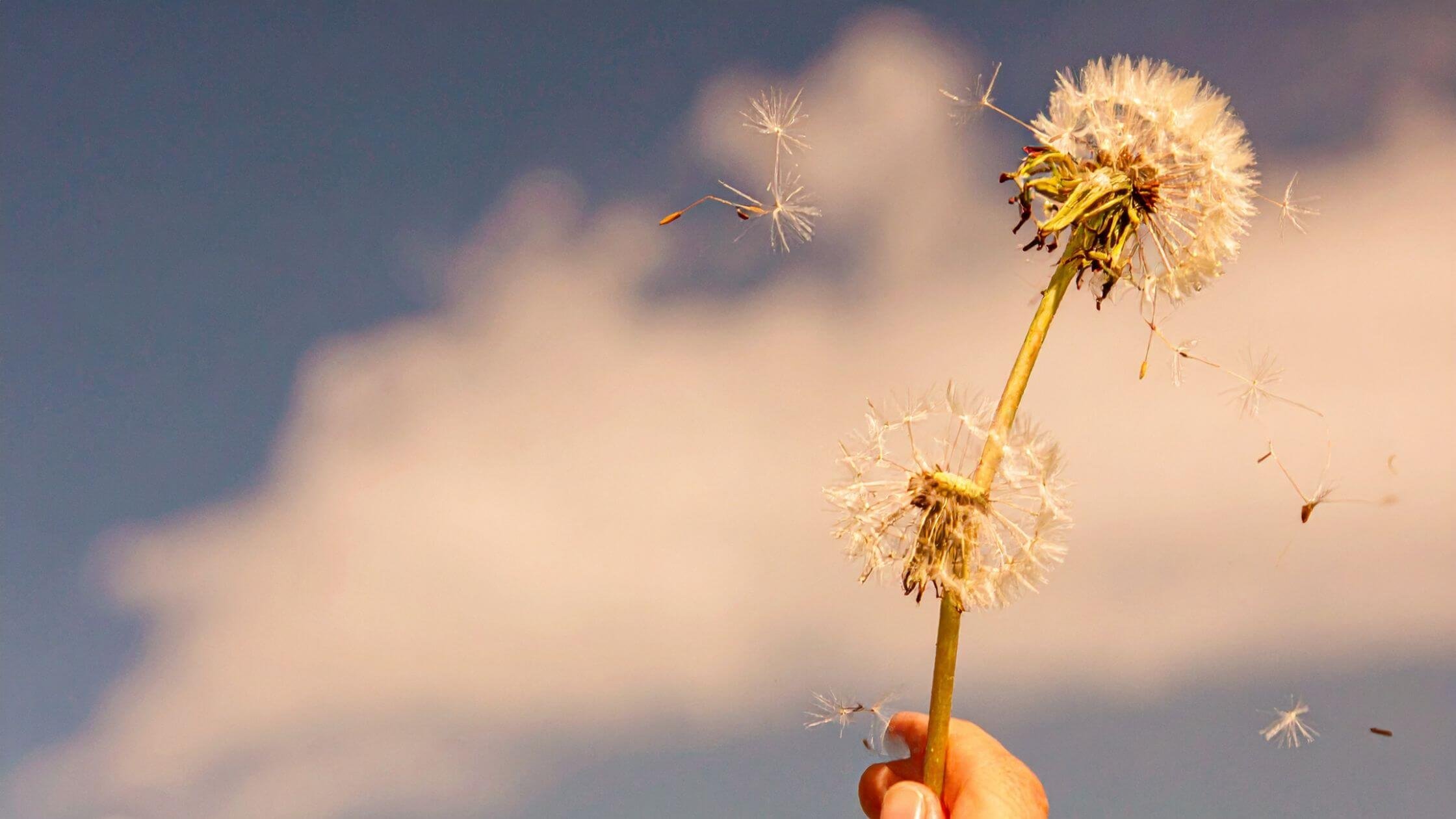 Shadow Work : travailler avec ses parts d’ombre pour se libérer et s’aligner