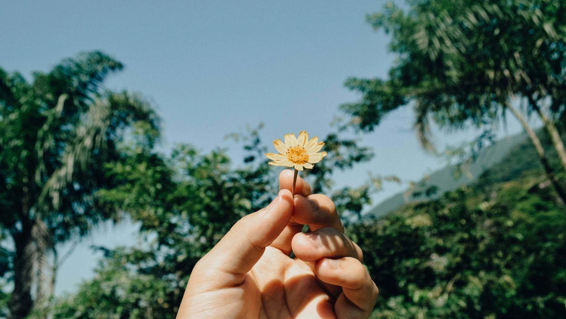 blocages entrepreneurs et prendre vraiment sa place