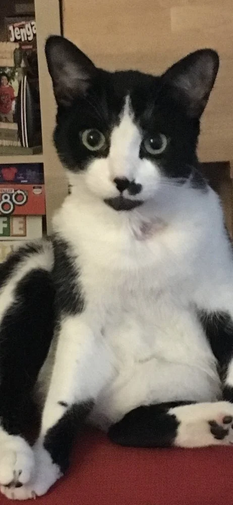 william c. 