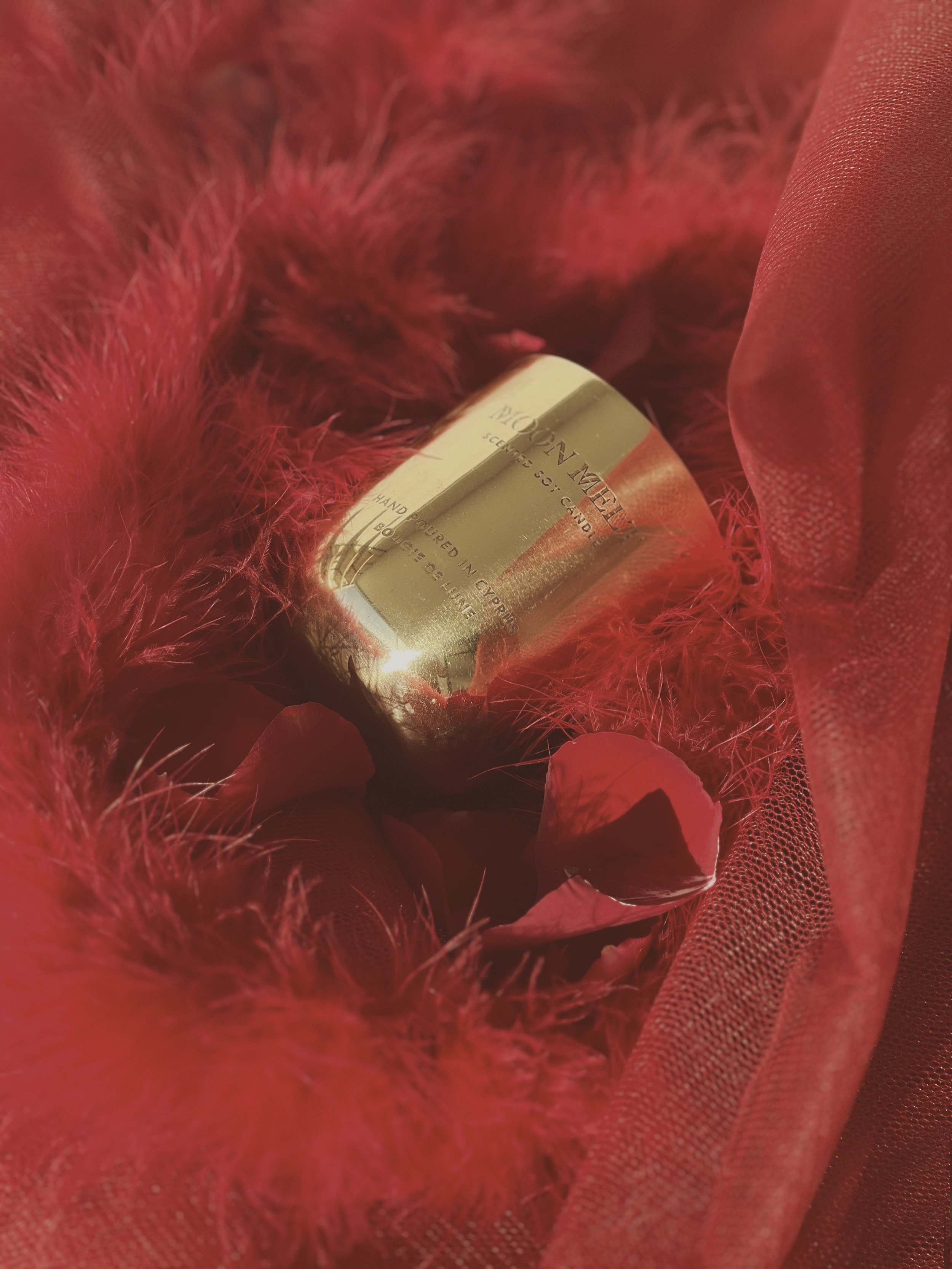 amorous-1.jpg