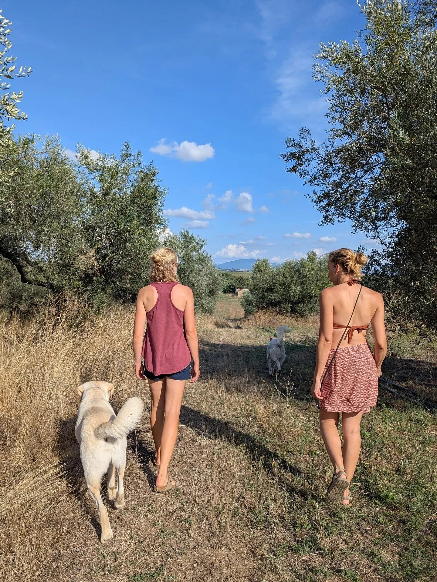 Viaggio in luoghi incantati, casa di fate, ninfe e creature magiche, mitologiche. 

L&rsquo;azienda si trova pochi kilometri a Sud del Lago di Bolsena, da cui partono sorgenti e ruscelli in ogni dove, un&rsquo;area all&rsquo;apparenza siccitosa (siam