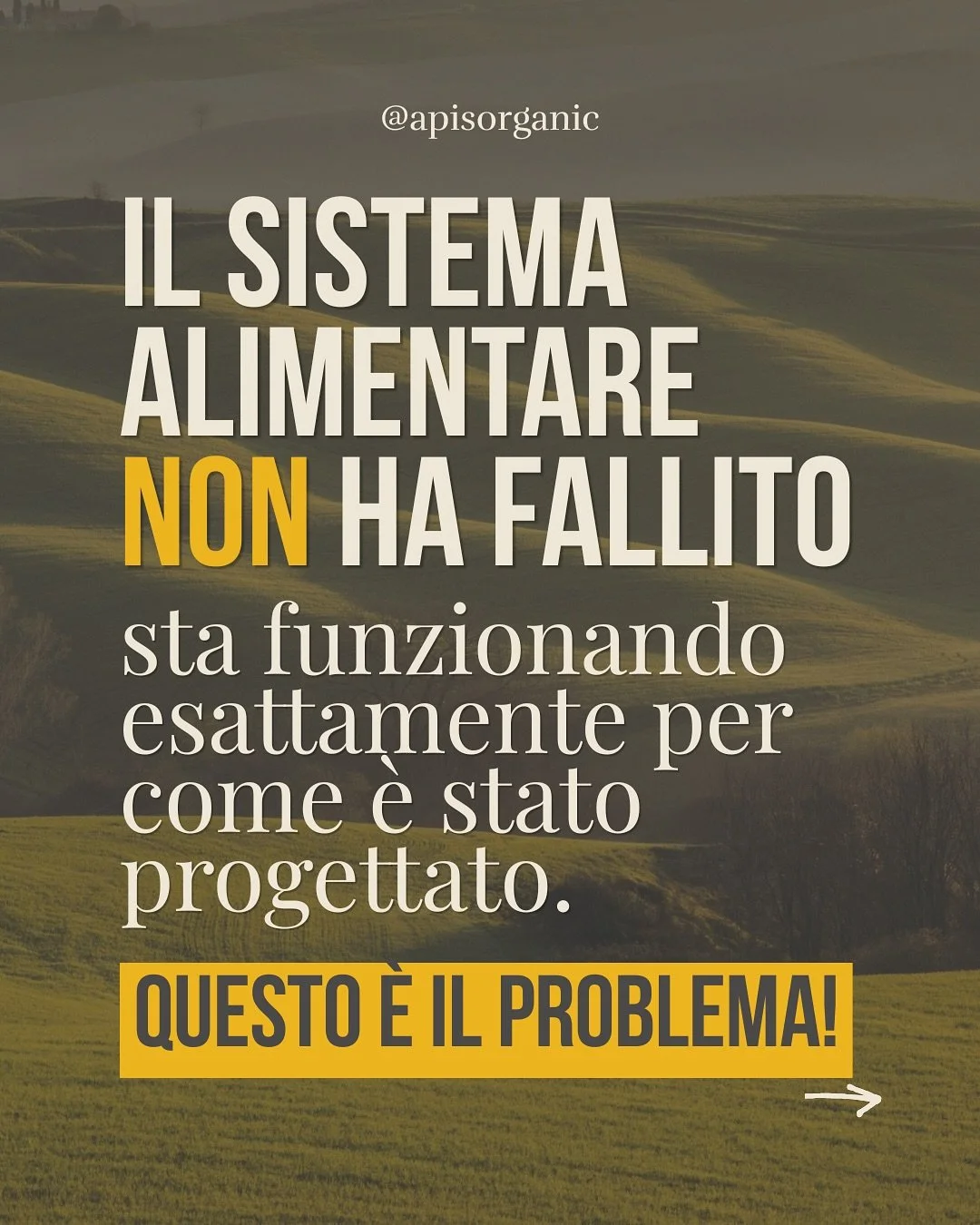 Il sistema agroalimentare non &eacute; rotto, &eacute; corrotto.

Non si pu&ograve; parlare di sostenibilit&agrave; senza andare alle radici del problema, ma le variabili qui sono infinite: Instagram non aiuta ad approfondire temi cos&igrave; importa