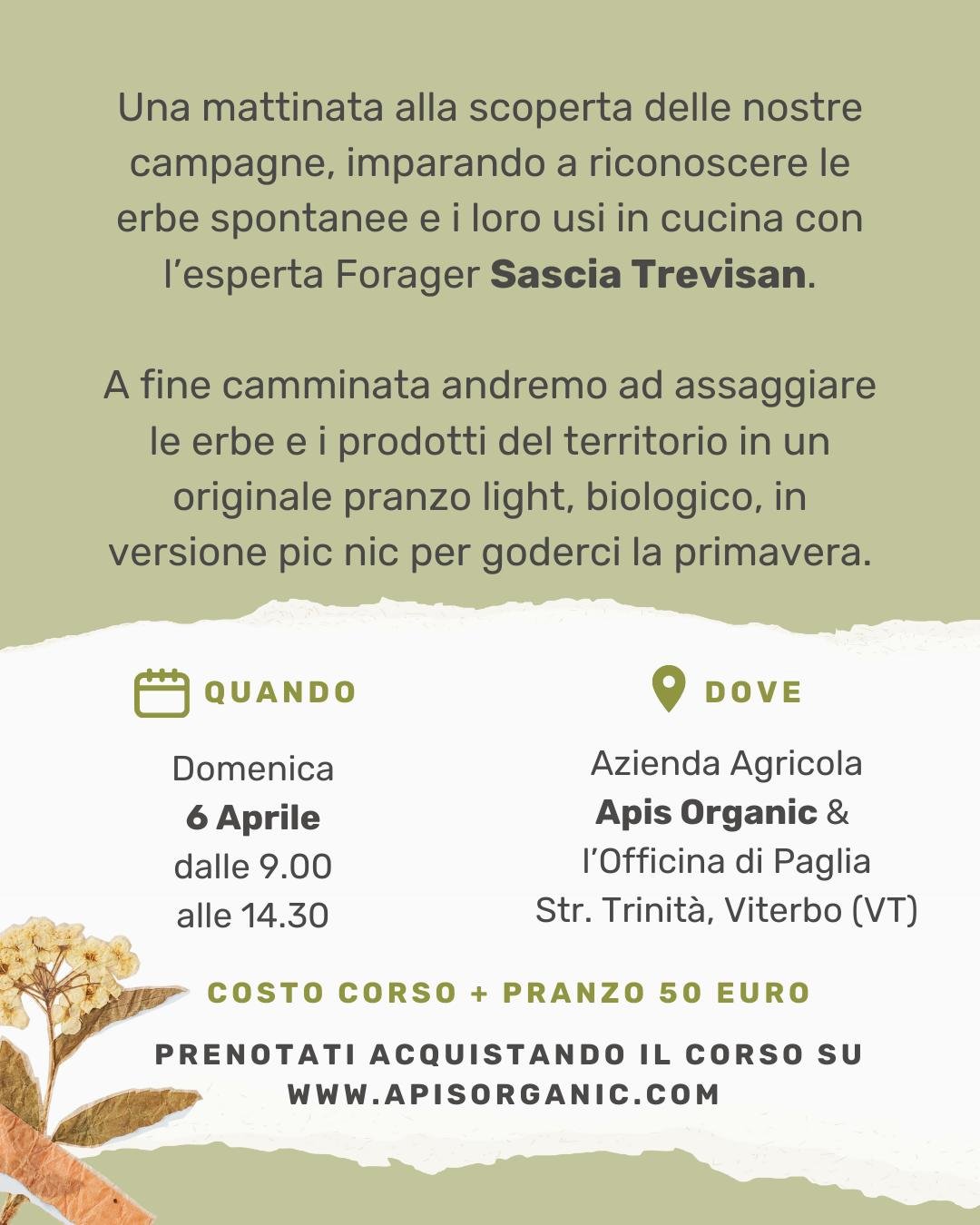 Immagine WhatsApp 2025-03-23 ore 18.54.40_aa58da73.jpg
