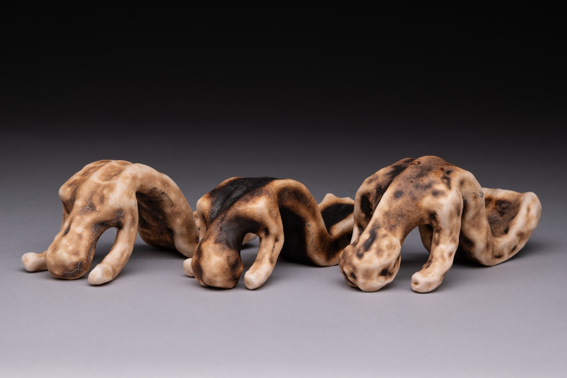 My three sculptures of burned Muslim bodies representing the reign of terror on Muslims globally by the U.S. military are included in the exhibition "Reign Rain Rein," juried by Gordon Wilkins, at the Attleboro Arts Museum in Massachusetts.