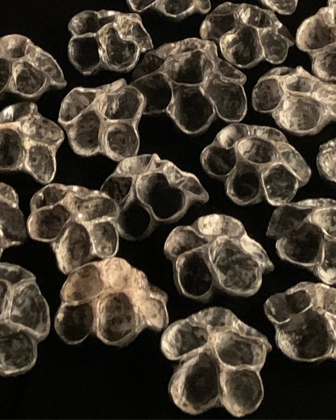 This installation is named Al Fatiha: The Opening, the name of the first chapter of the Quran. Each object and the multiple portals signify the endless possibilities we have for creation, contemplation, imagination, justice, joy and connection. 

Ram