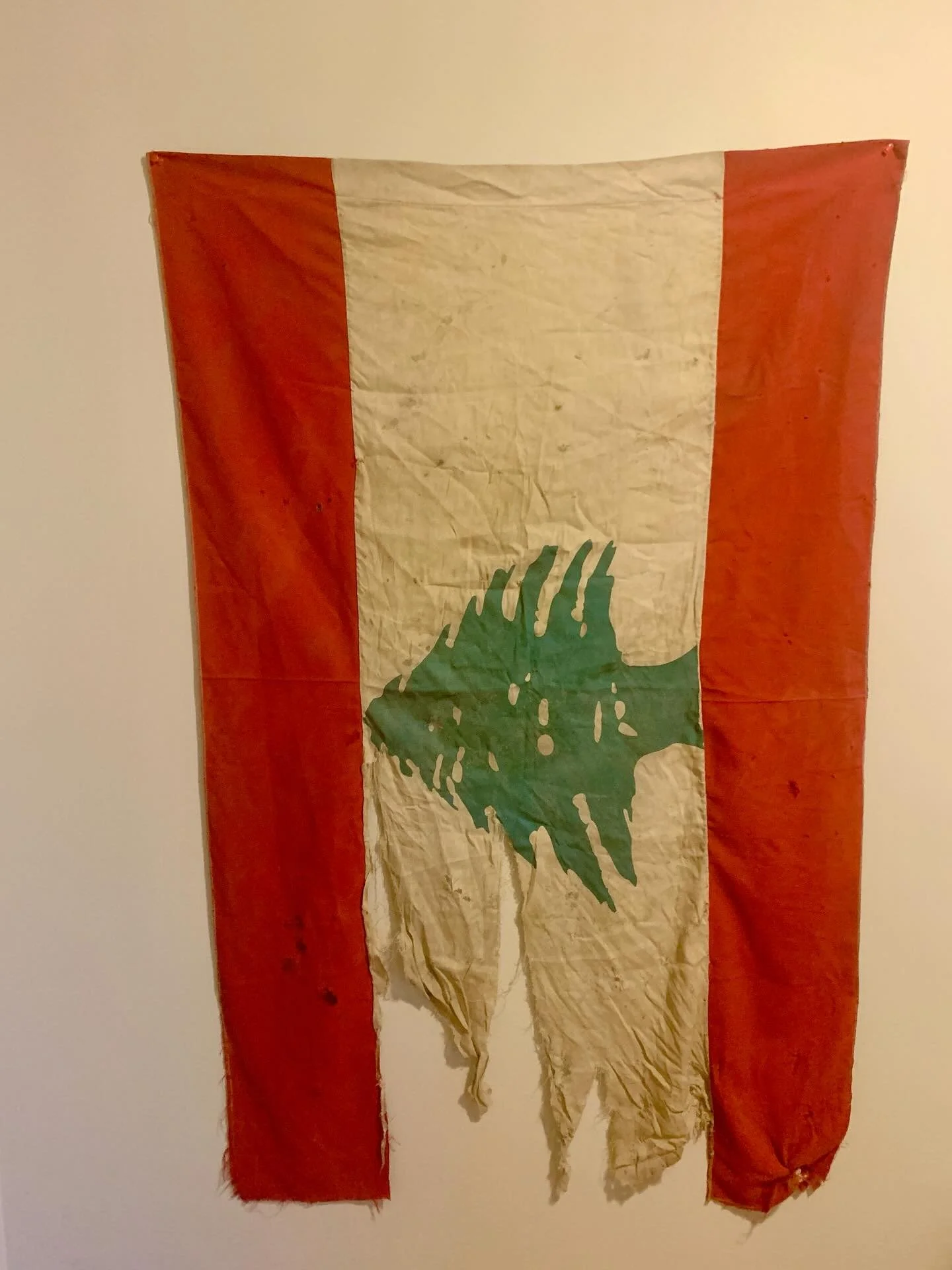 Visual dhikr/remembrance 

From the 2016 Israeli extermination campaigns and carpet bombing of Lebanon in 2016. 
Family collection. 

Never forgive or forget. 
Long live the resistance, to all oppression, everywhere, throughout time, ameen. 
May we l