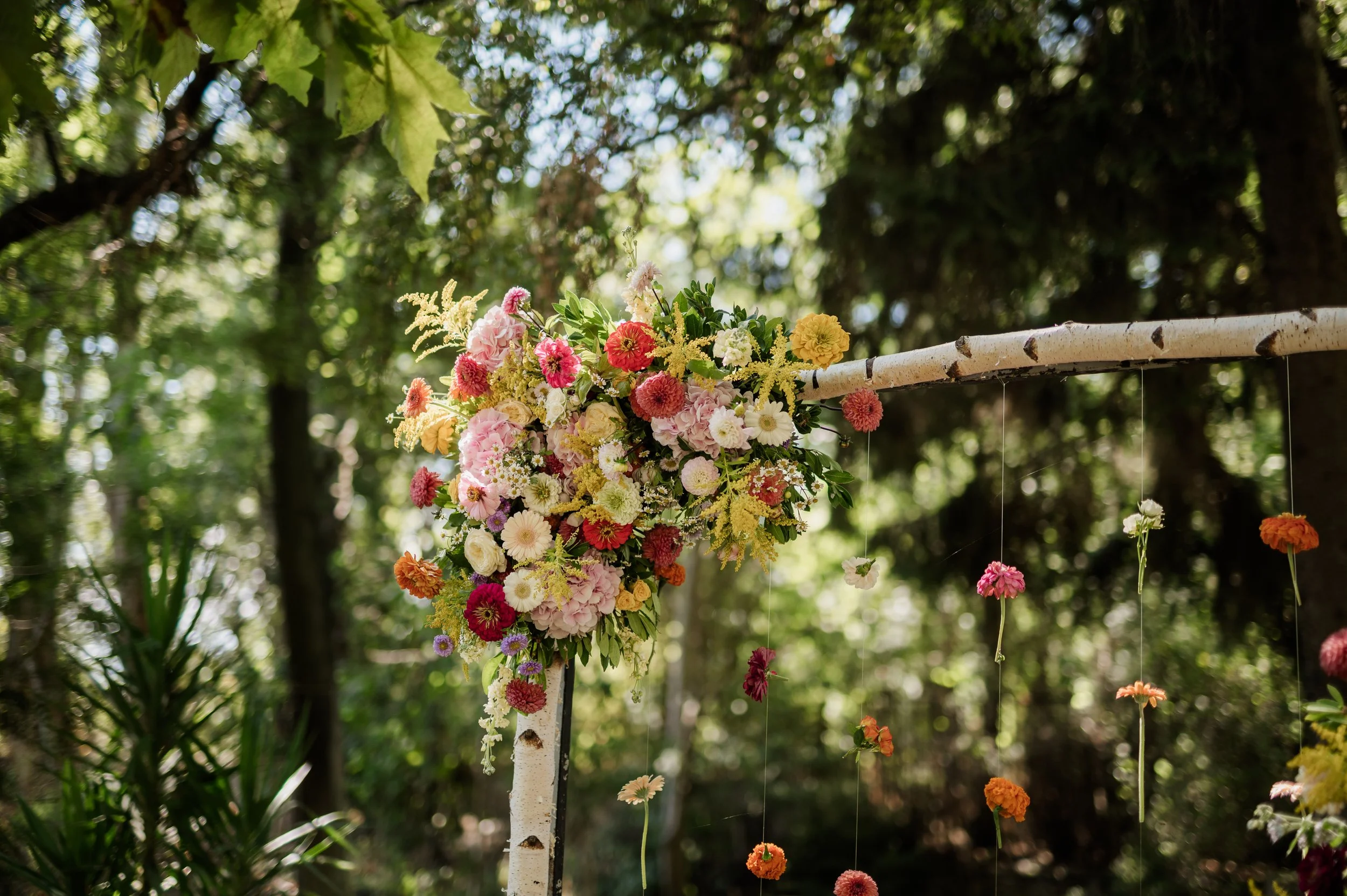 DSC_5111.jpg