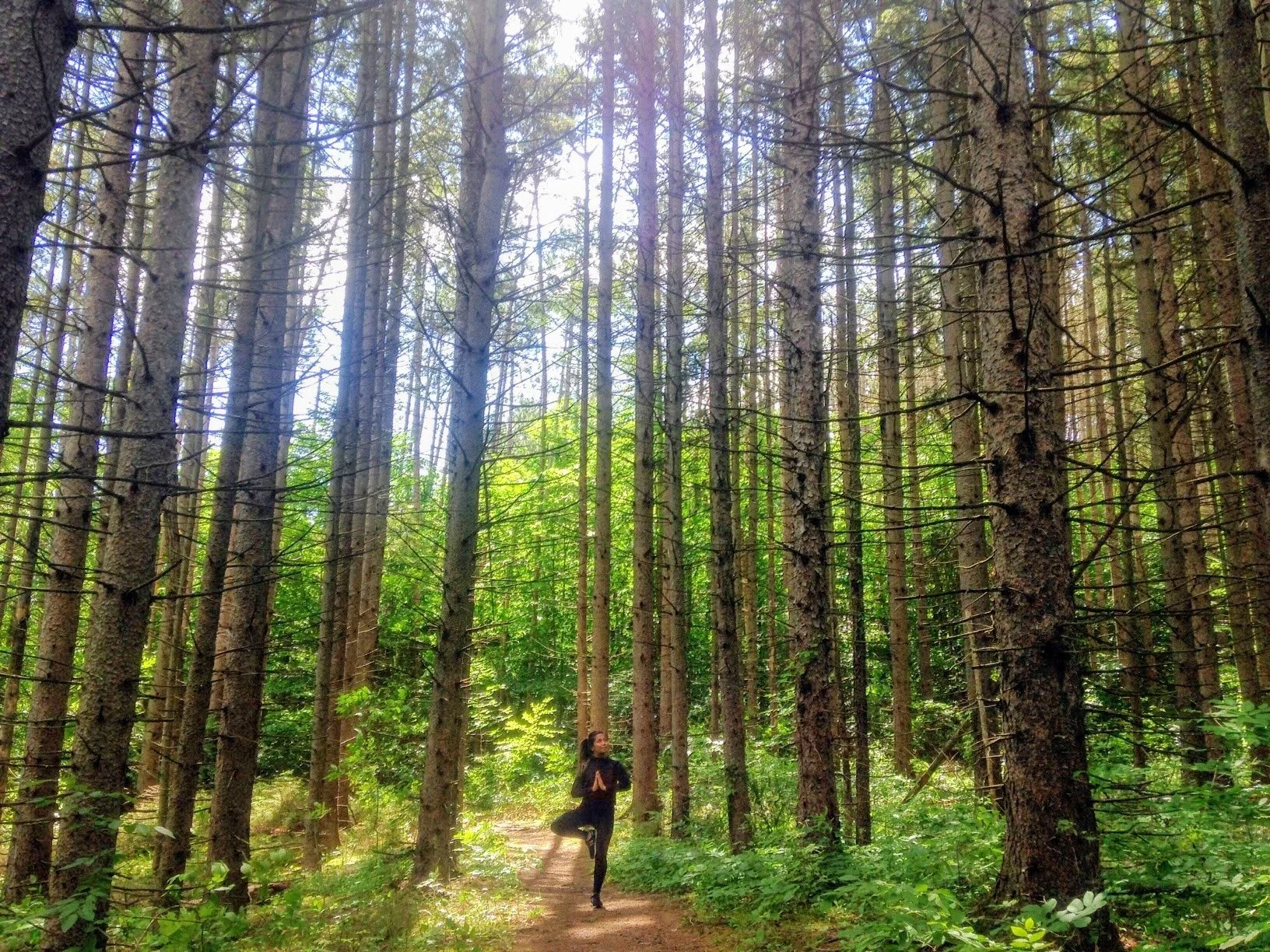 Person practicing yoga in a forested trail with tall trees and green foliage.