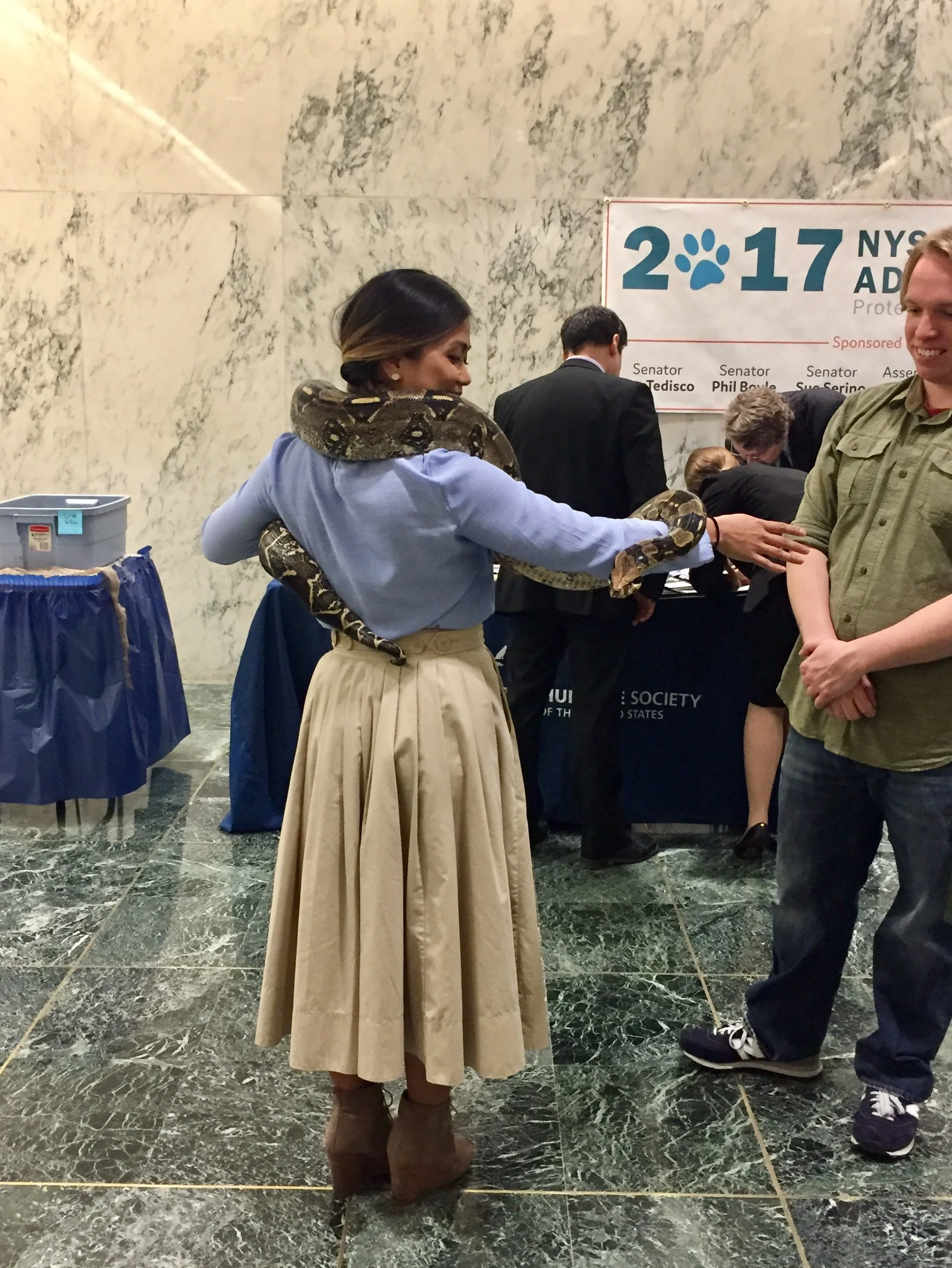 A woman wearing a blue blouse, beige skirt, and brown boots is holding a large snake around her neck and shoulder at an event.