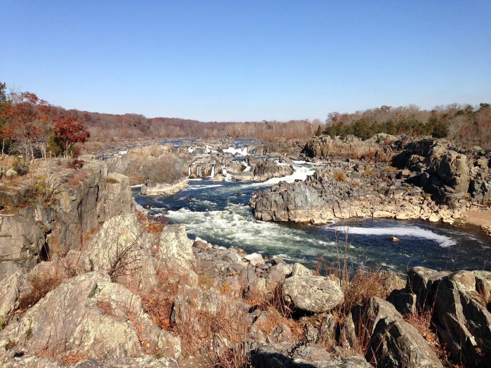 jdc_life in photos_2015-2020 8.JPG