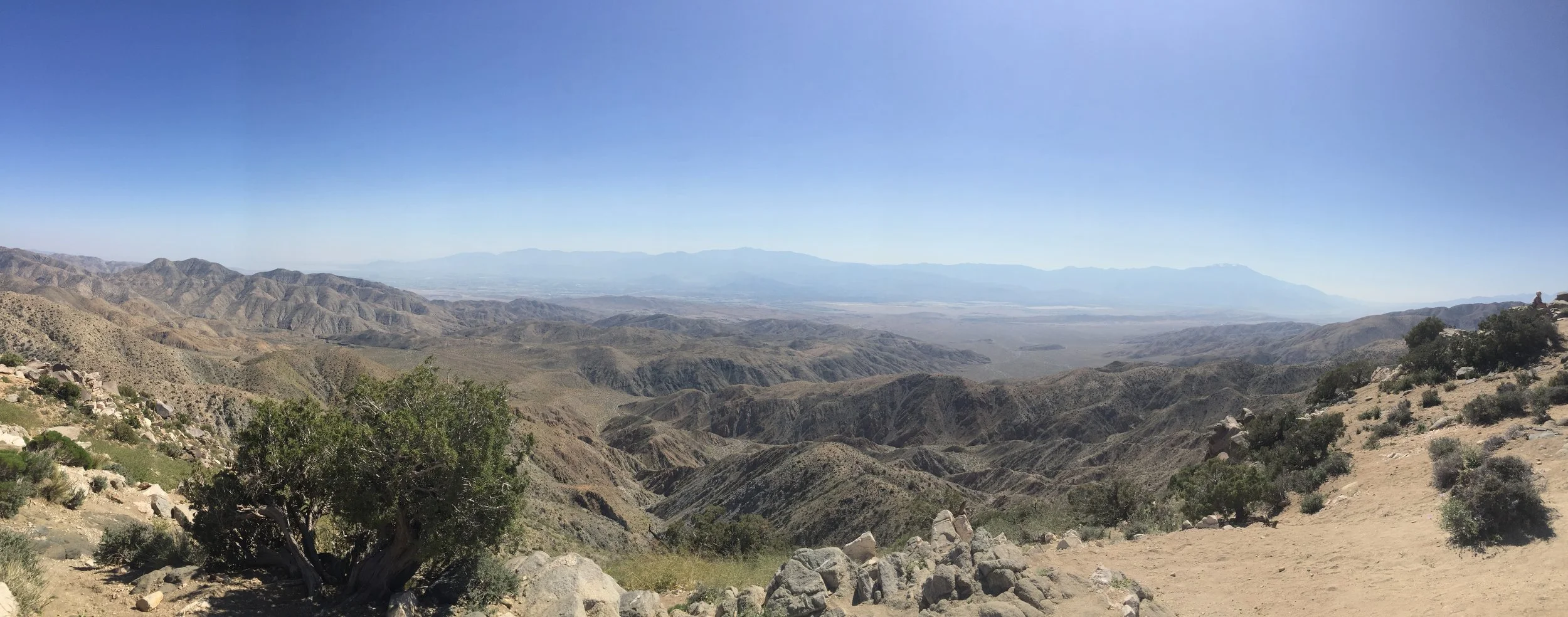 jdc_life in photos_2015-2020 16.JPG