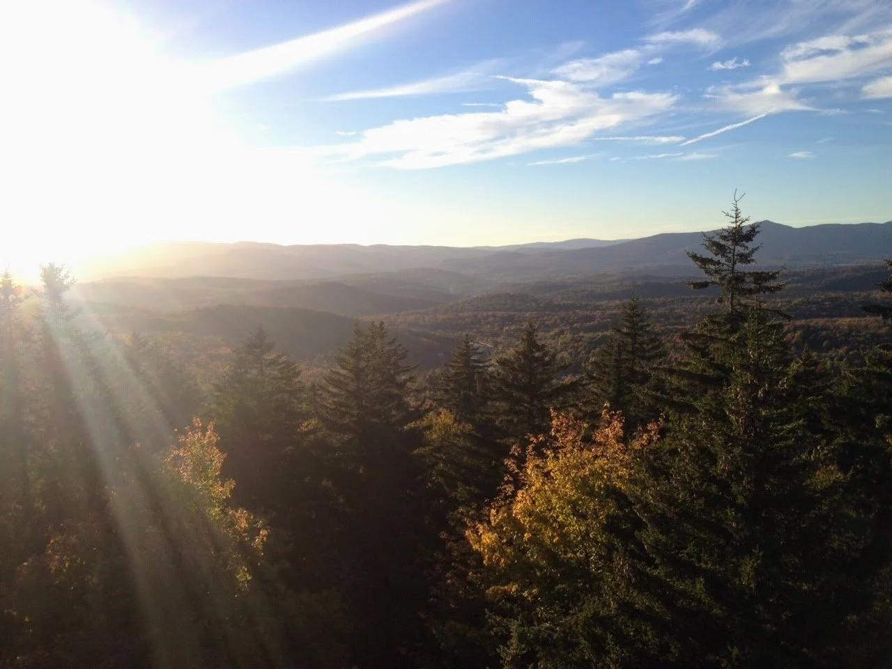 jdc_life in photos_2015-2020 25.JPG