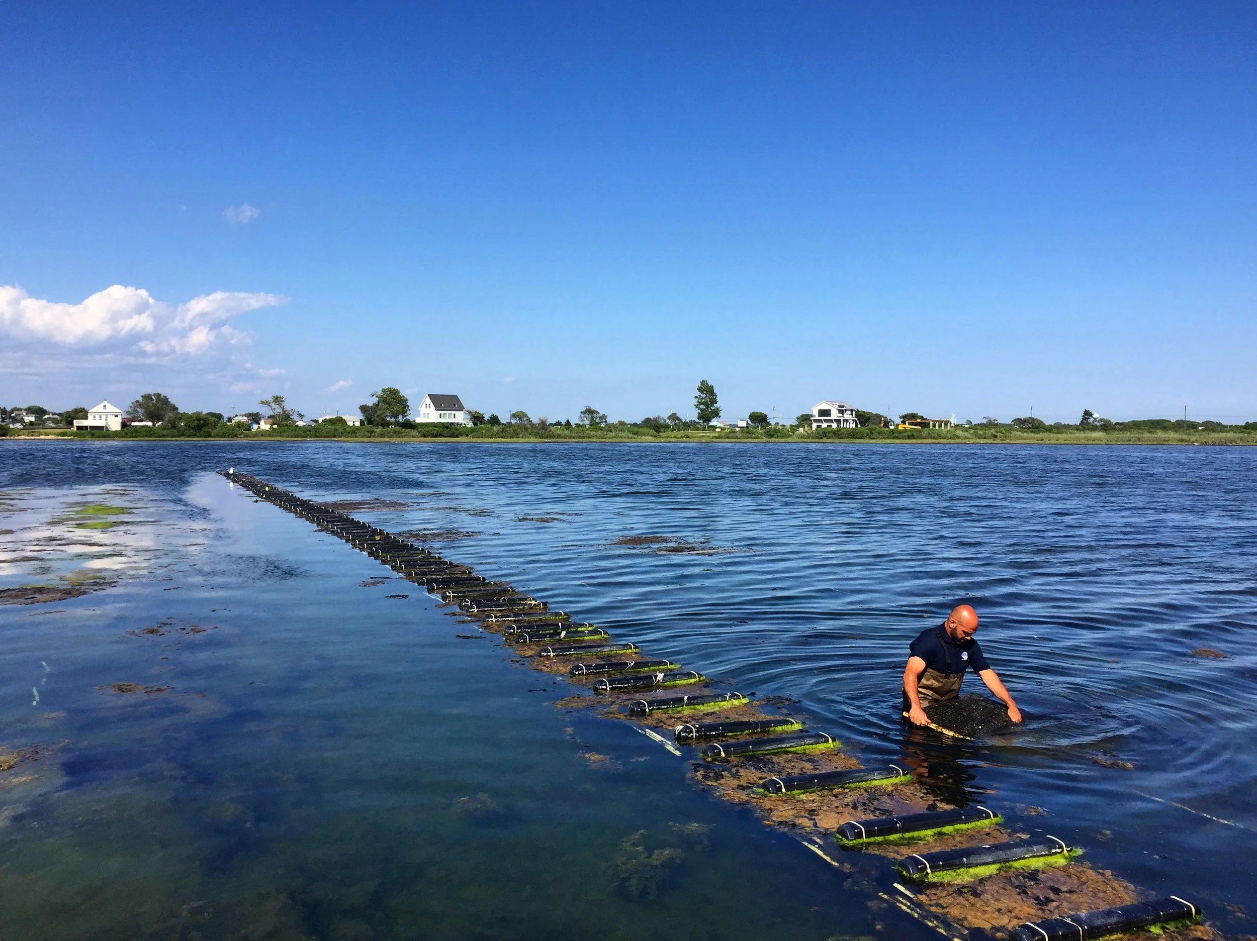 jdc_life in photos_2015-2020 27.JPG