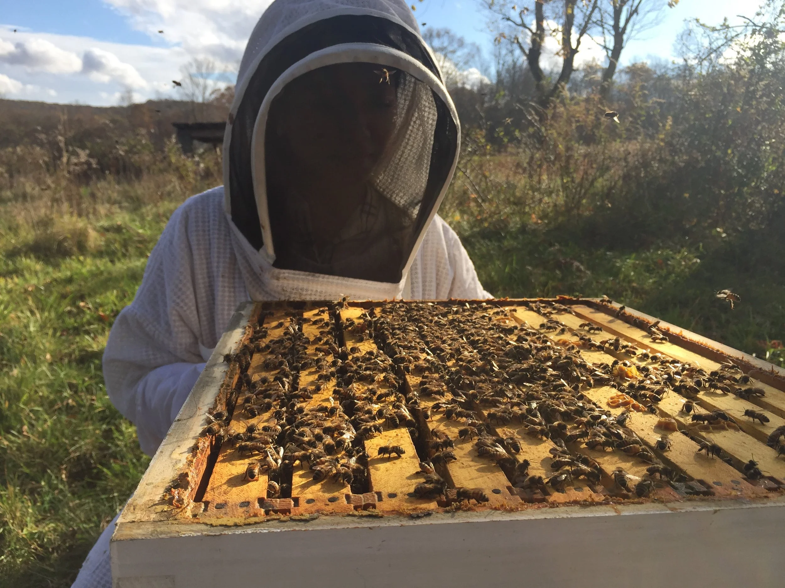 jdc_life in photos_2015-2020 37.JPG