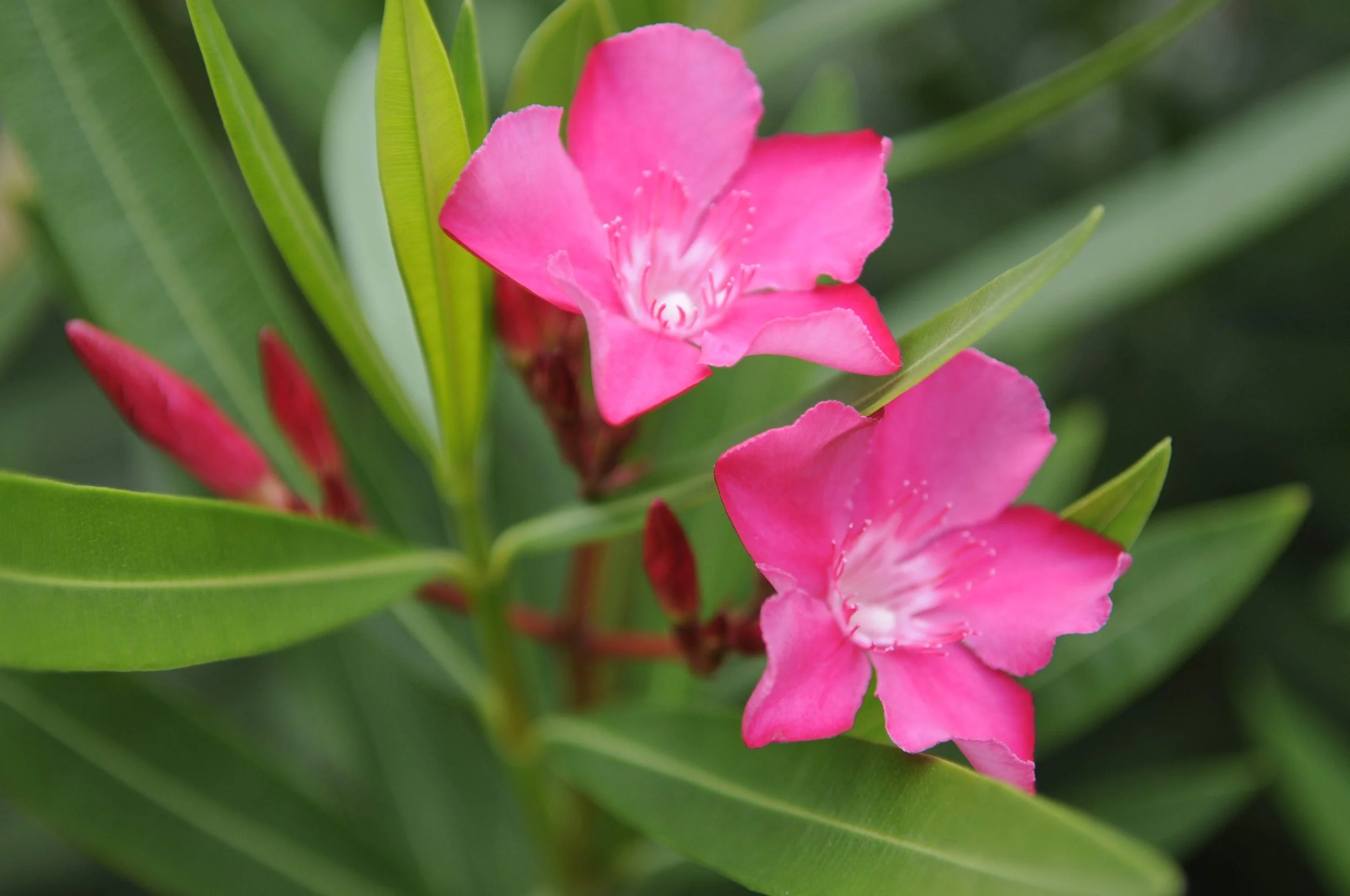 jdc_life in photos_2015-2020 42.JPG