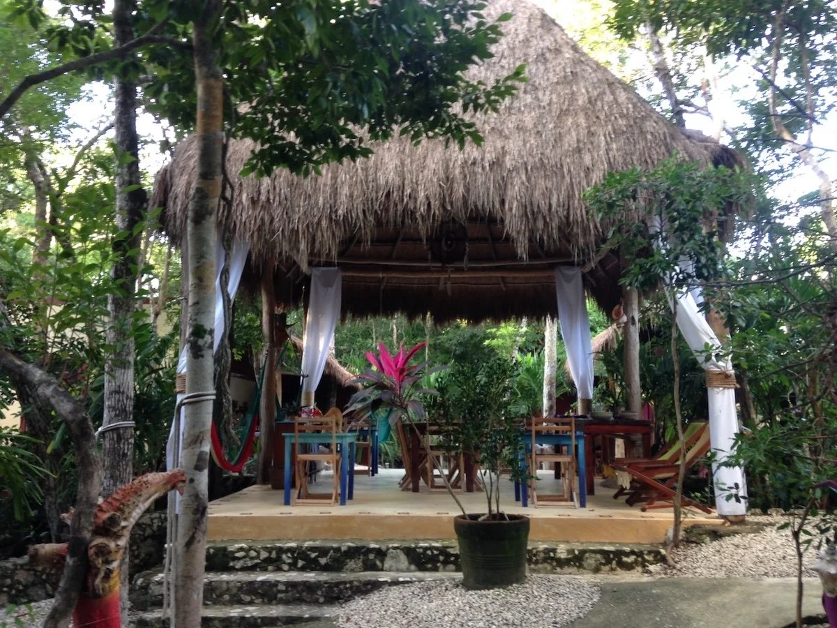 jdc_yucatan_detox_2016_6.JPG