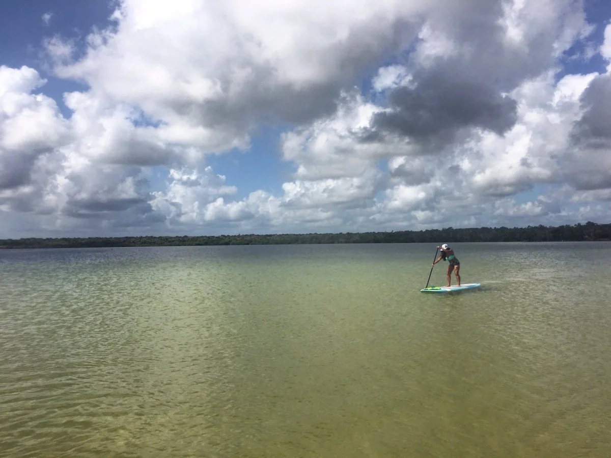 jdc_yucatan_detox_2016_21.JPG