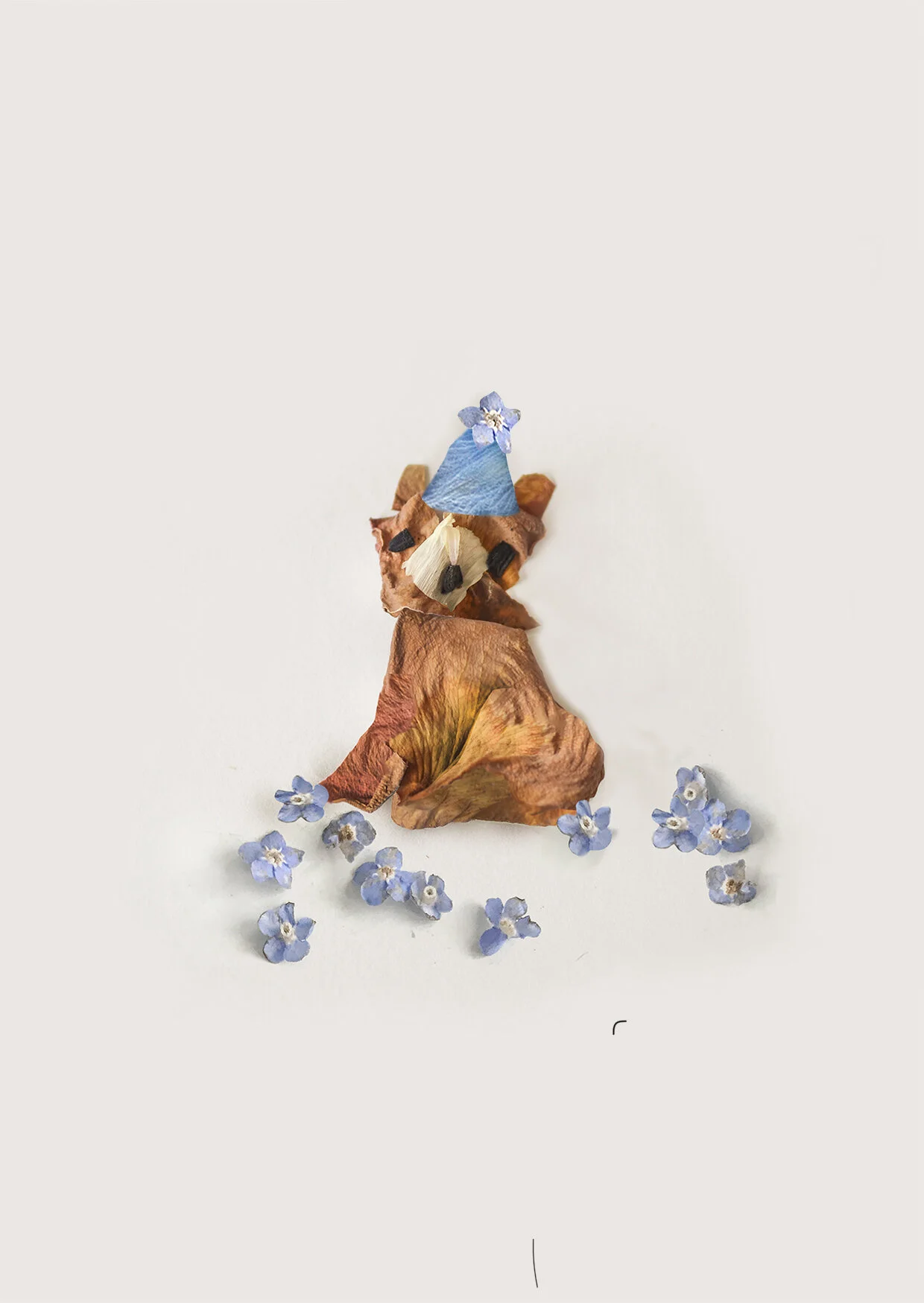 BEAR_Card.jpg