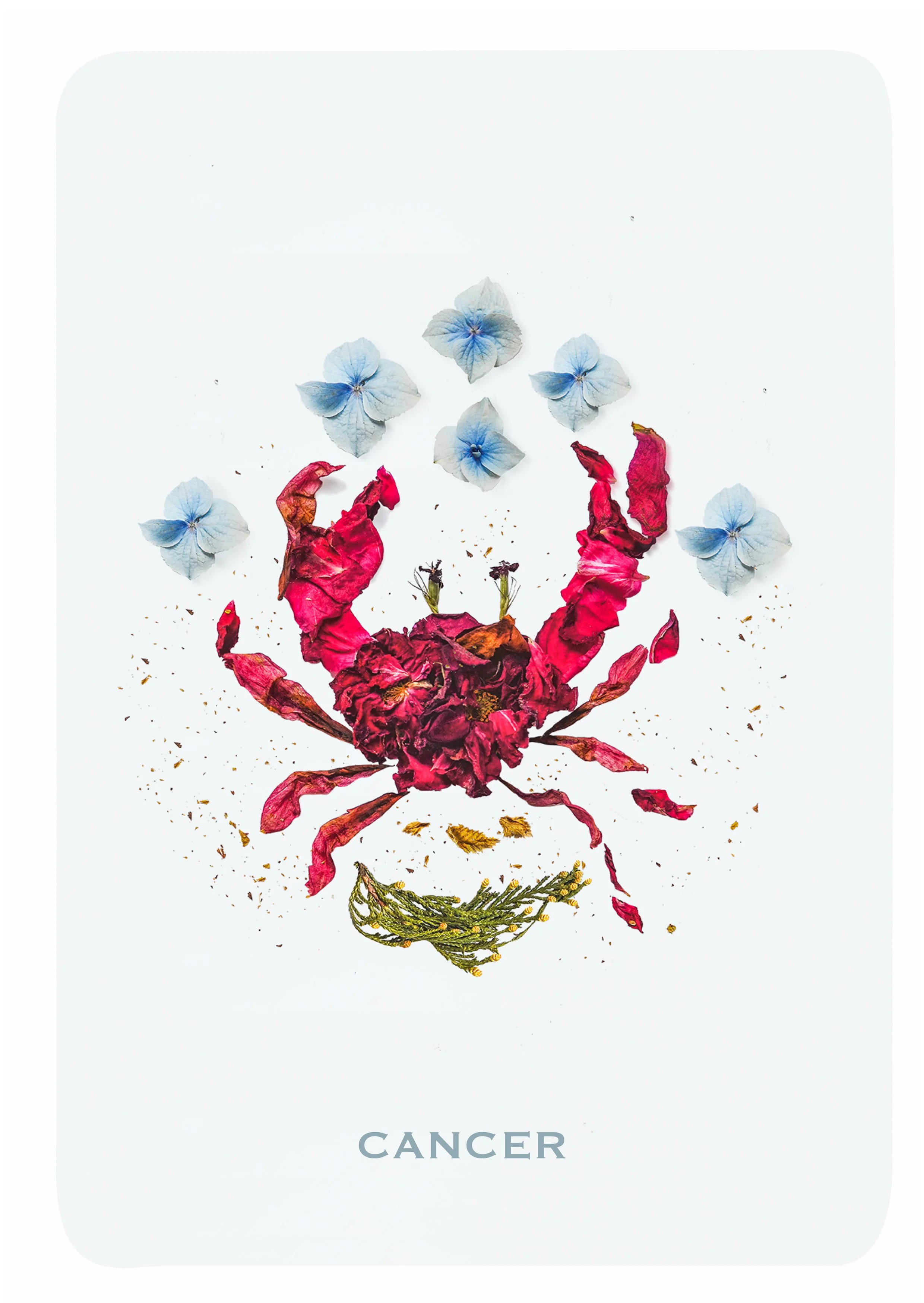 Gina Vide Horoscope_A6 Horoscope Cancer.jpg