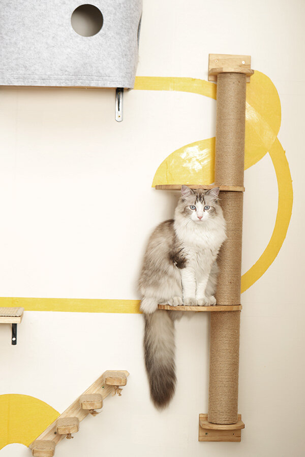 Sale scratching post wall mounted Best Sale