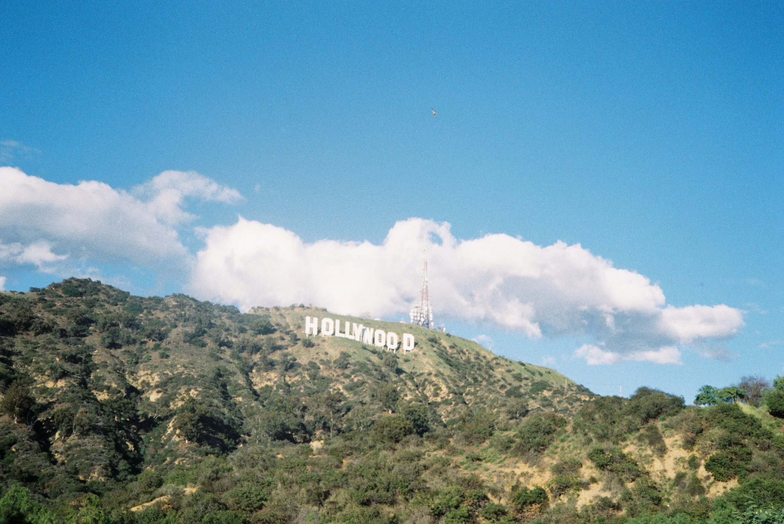 Hollywood sign! classic! Had to take it! 