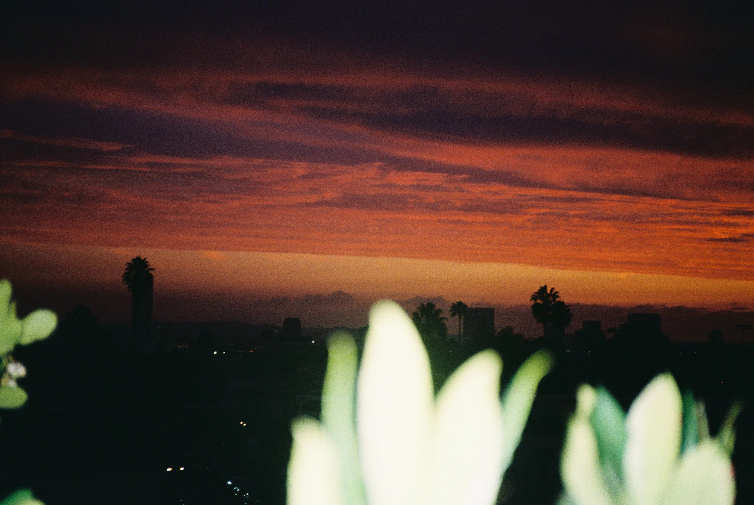Sunset over looking Los Angeles. Photo taken from the top of our apartment on Melrose. 