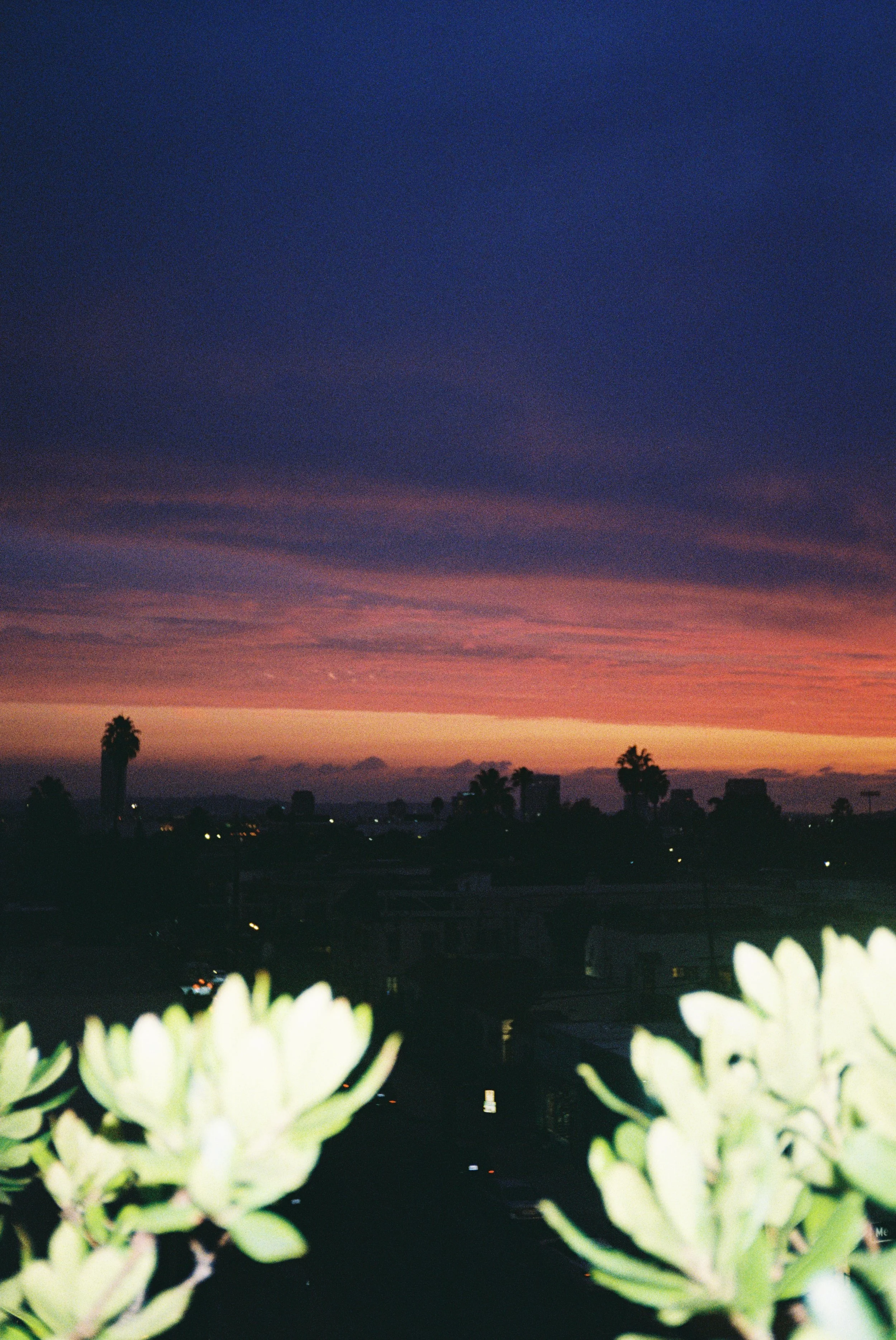 Sunset overlooking Los Angeles. Photo taken from the top of our apartment on Melrose. 
