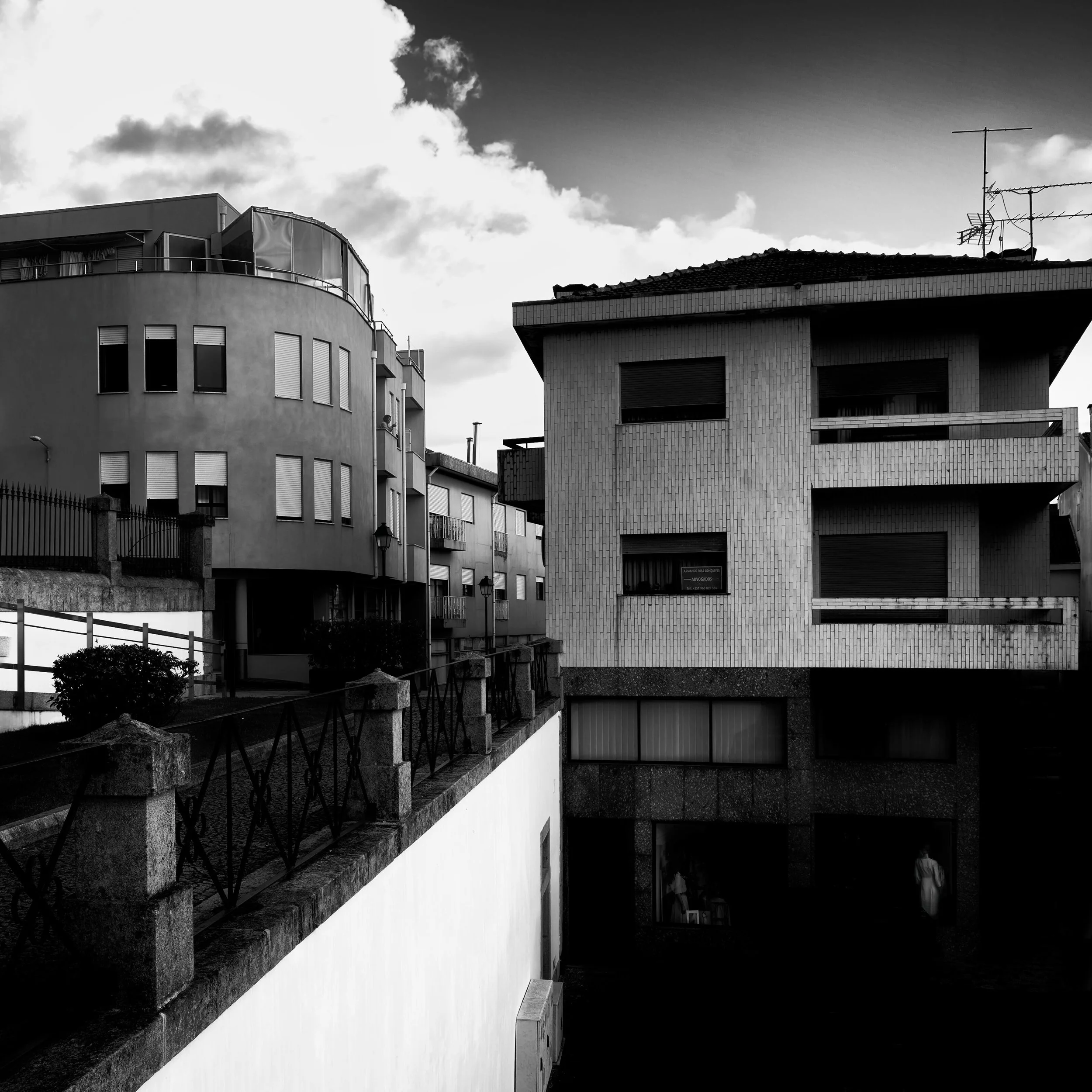 20260505-DYE_0489.jpg