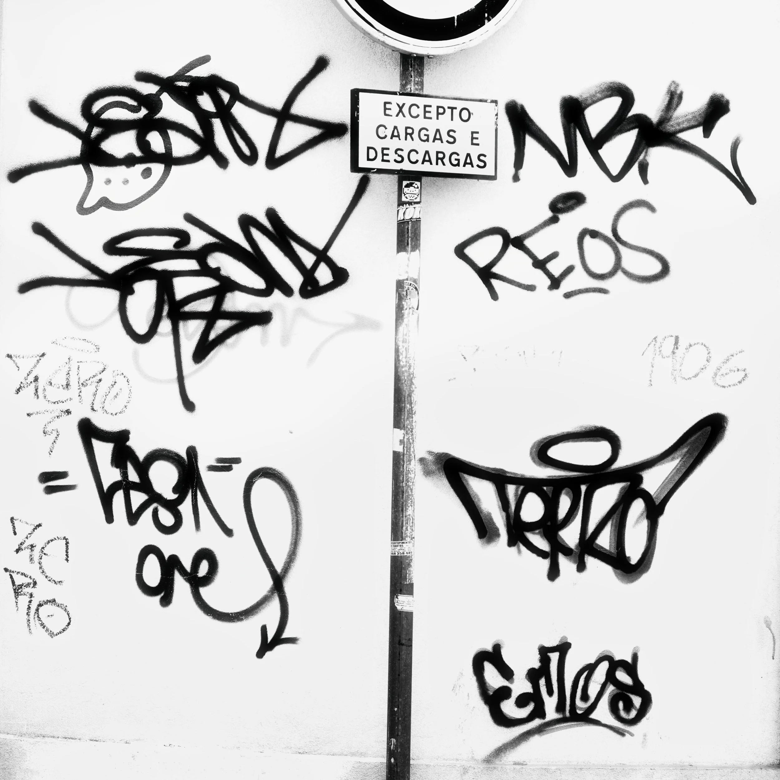 20260429-DYE_0034 crop 2.jpg