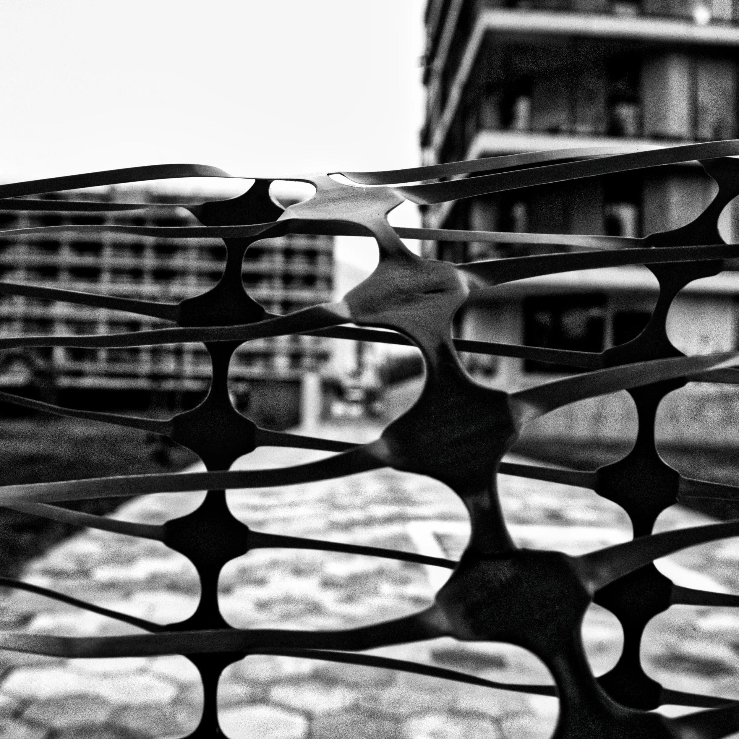 DYE_9184 bw crop.jpg