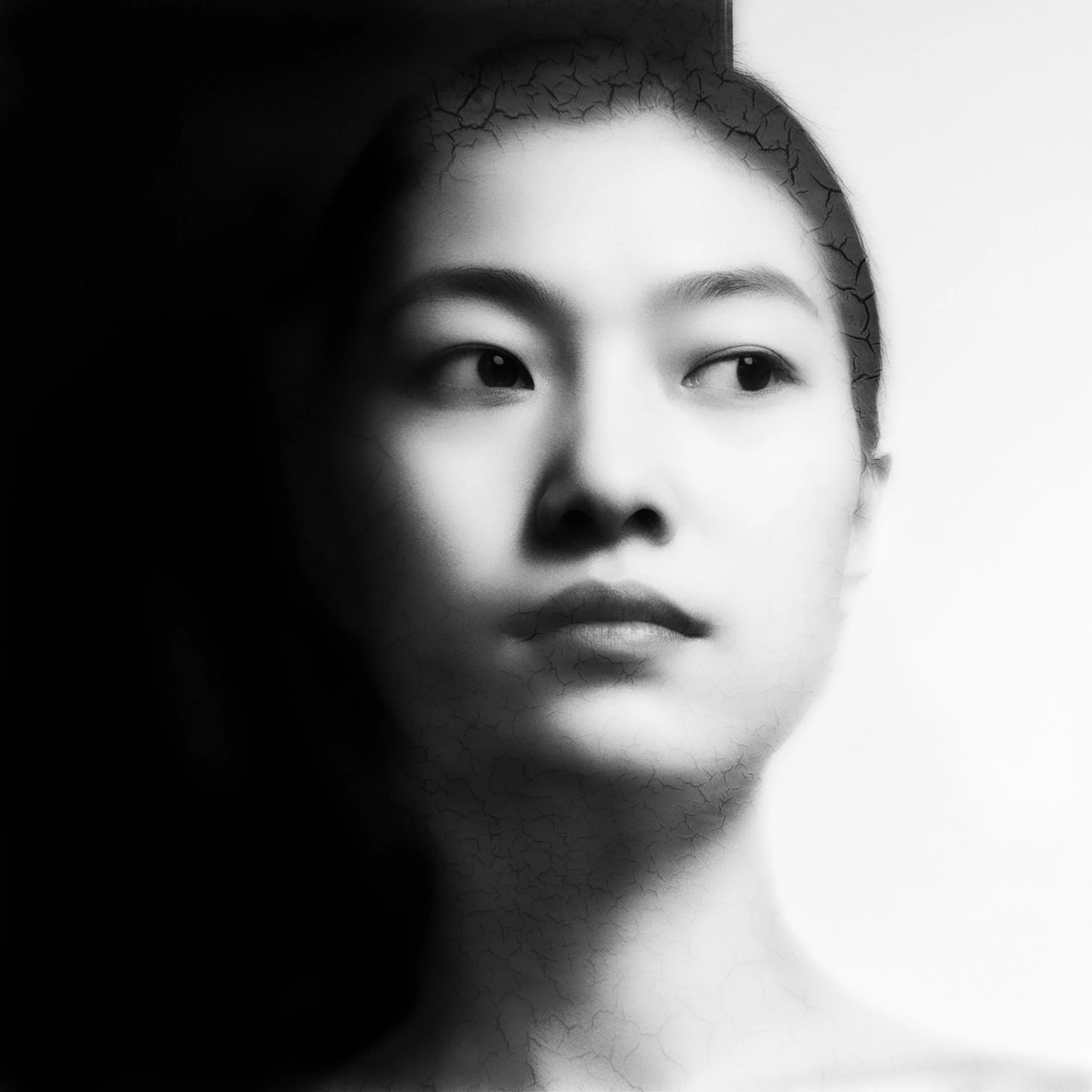 z-image_0050 fin lay 1.jpg