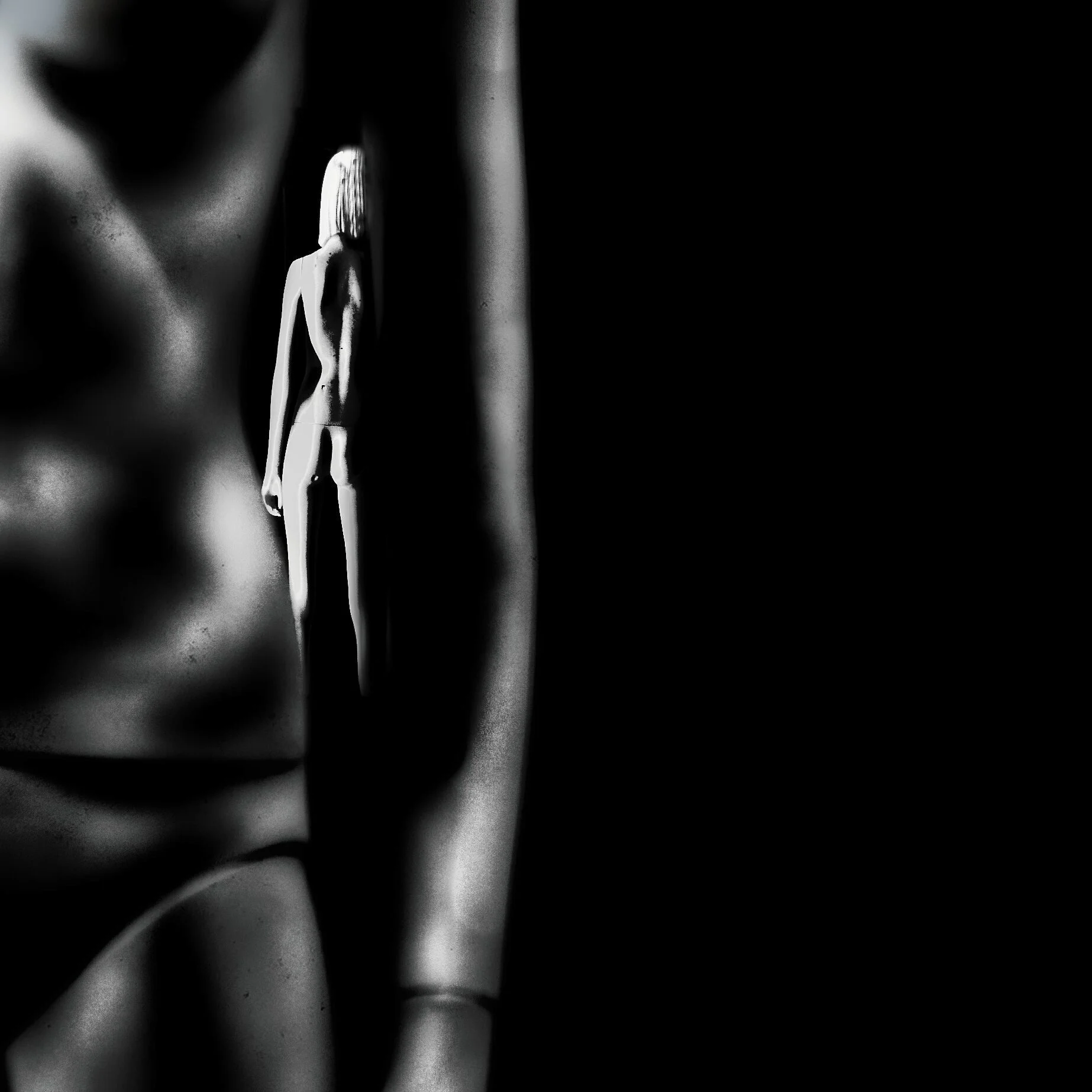 DYE_9383  hdr crop 2.jpg