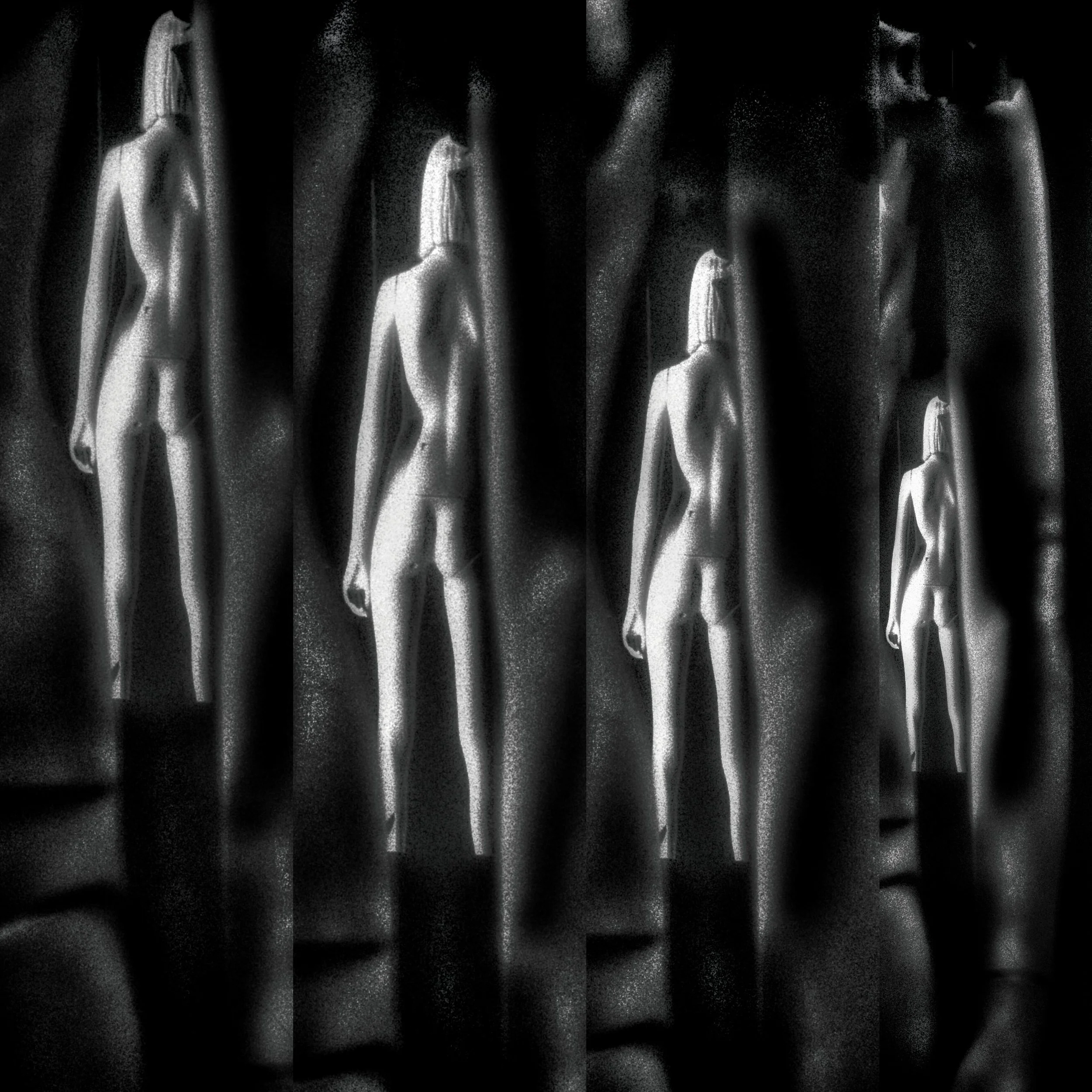 DYE_9384  hdr crop.jpg