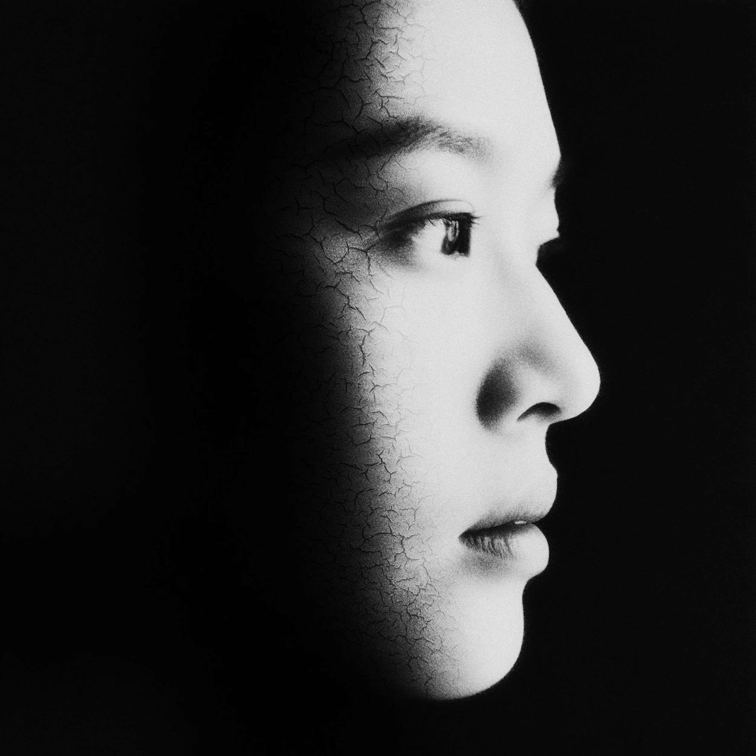 z-image_00530 lay 1.jpg